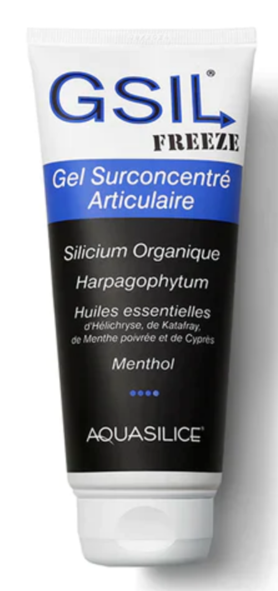 GSil Freeze Gel Surconcentré Articulaire