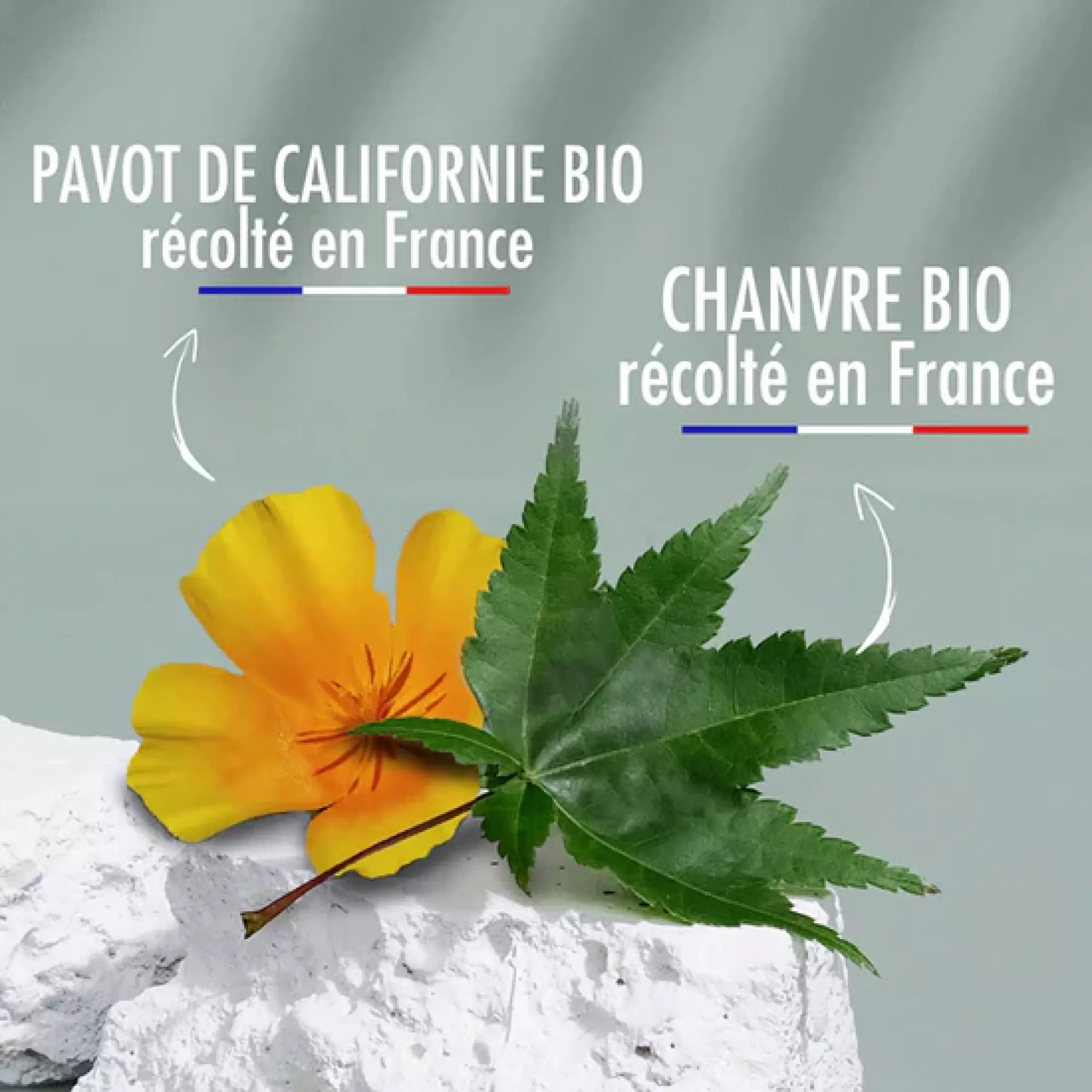 Super-Gummies Relax Bio