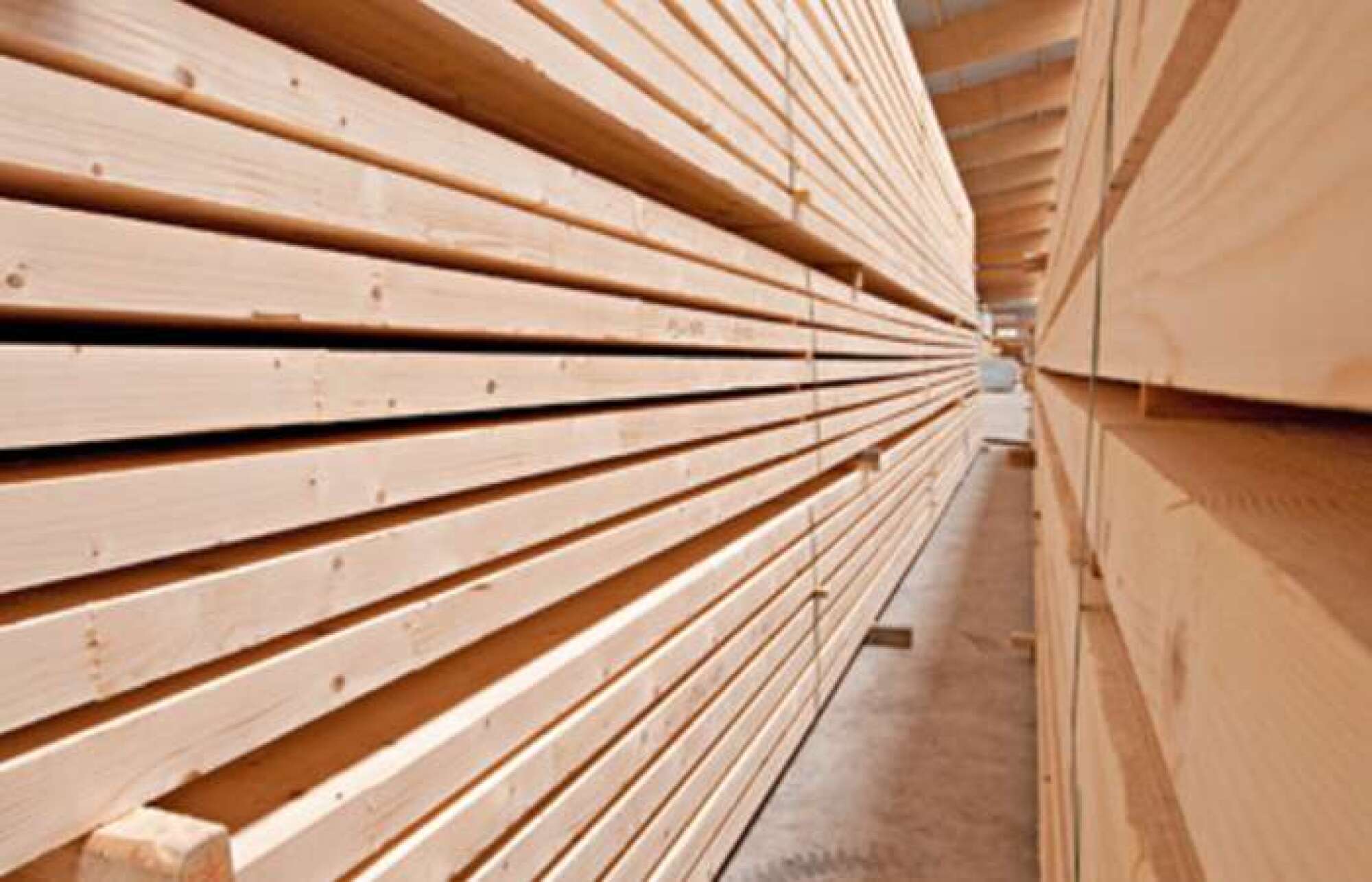 Bois massif abouté spécifique construction bois