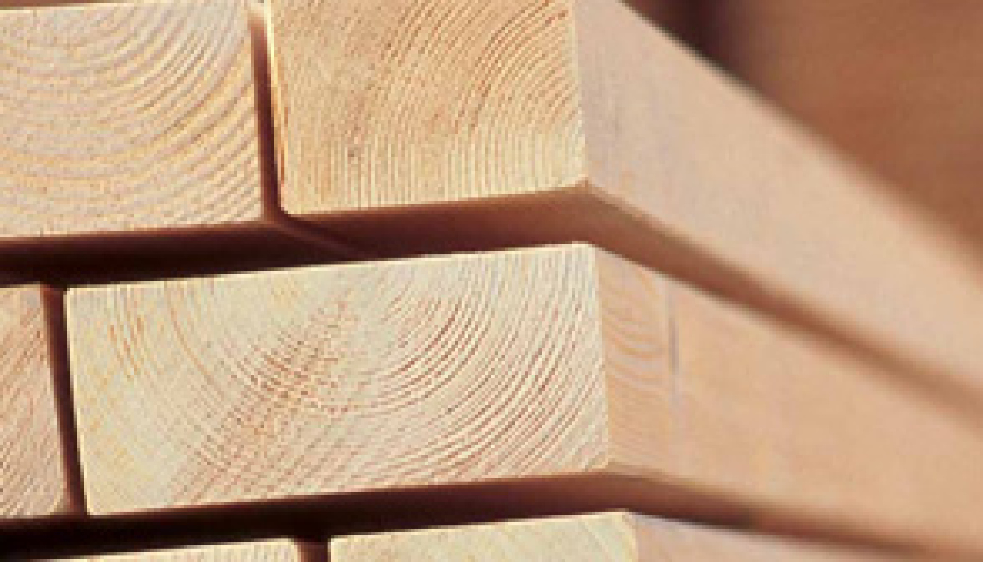 Bois massif abouté spécifique construction bois