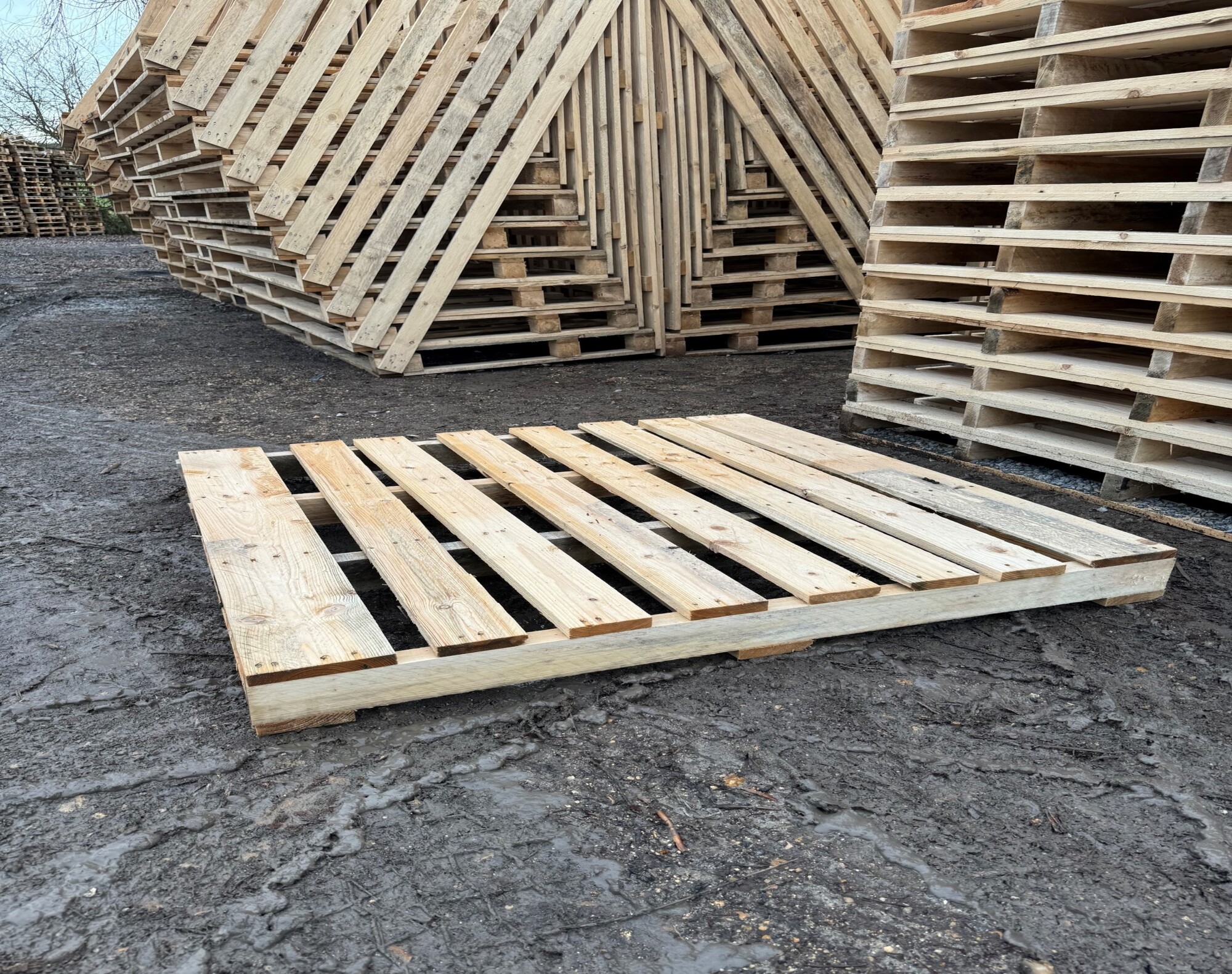 Palette 1200x1200 à chevrons 2 entrées neuve