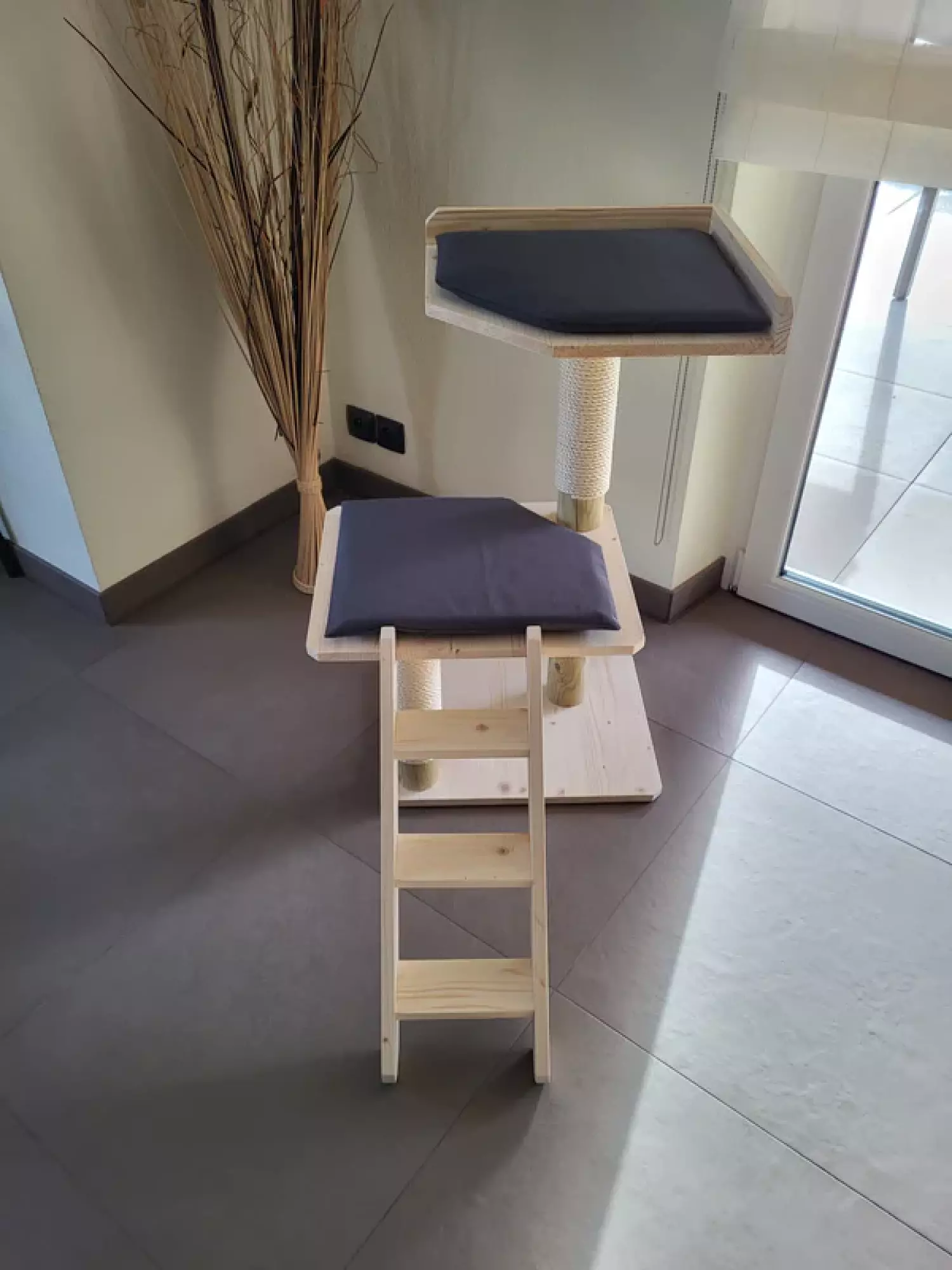 Arbre à chat et son échelle