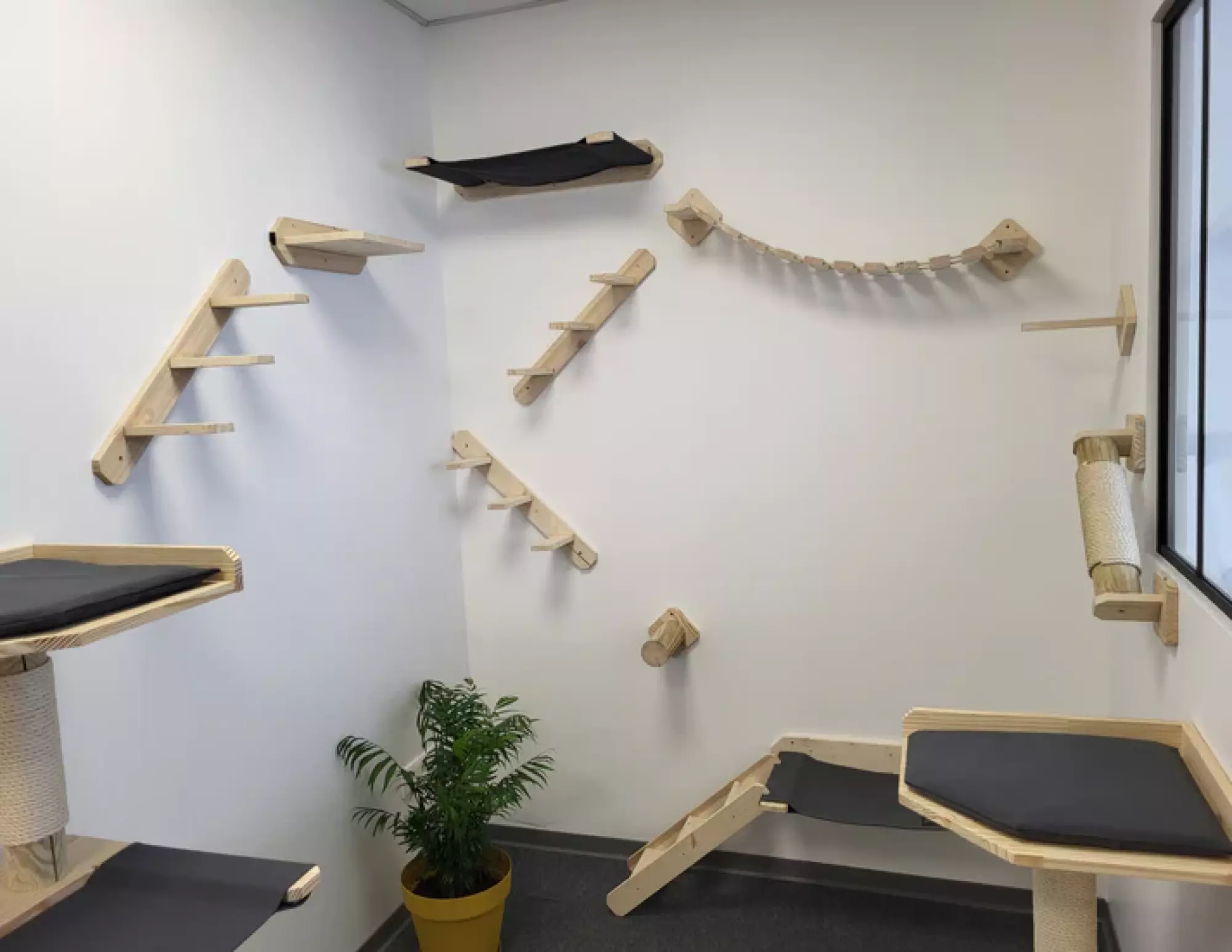 Plateforme murale pour chat