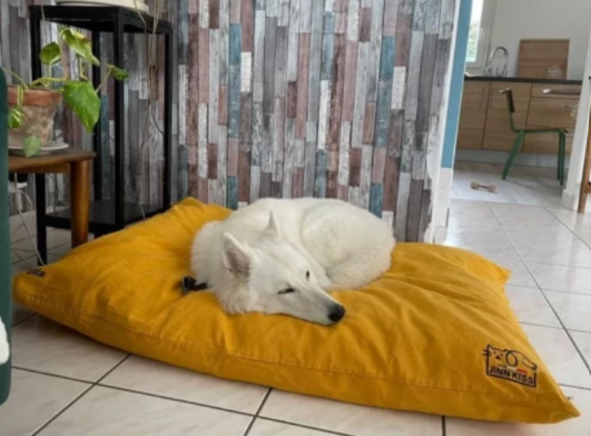 Housse Coussin Jinnkiss