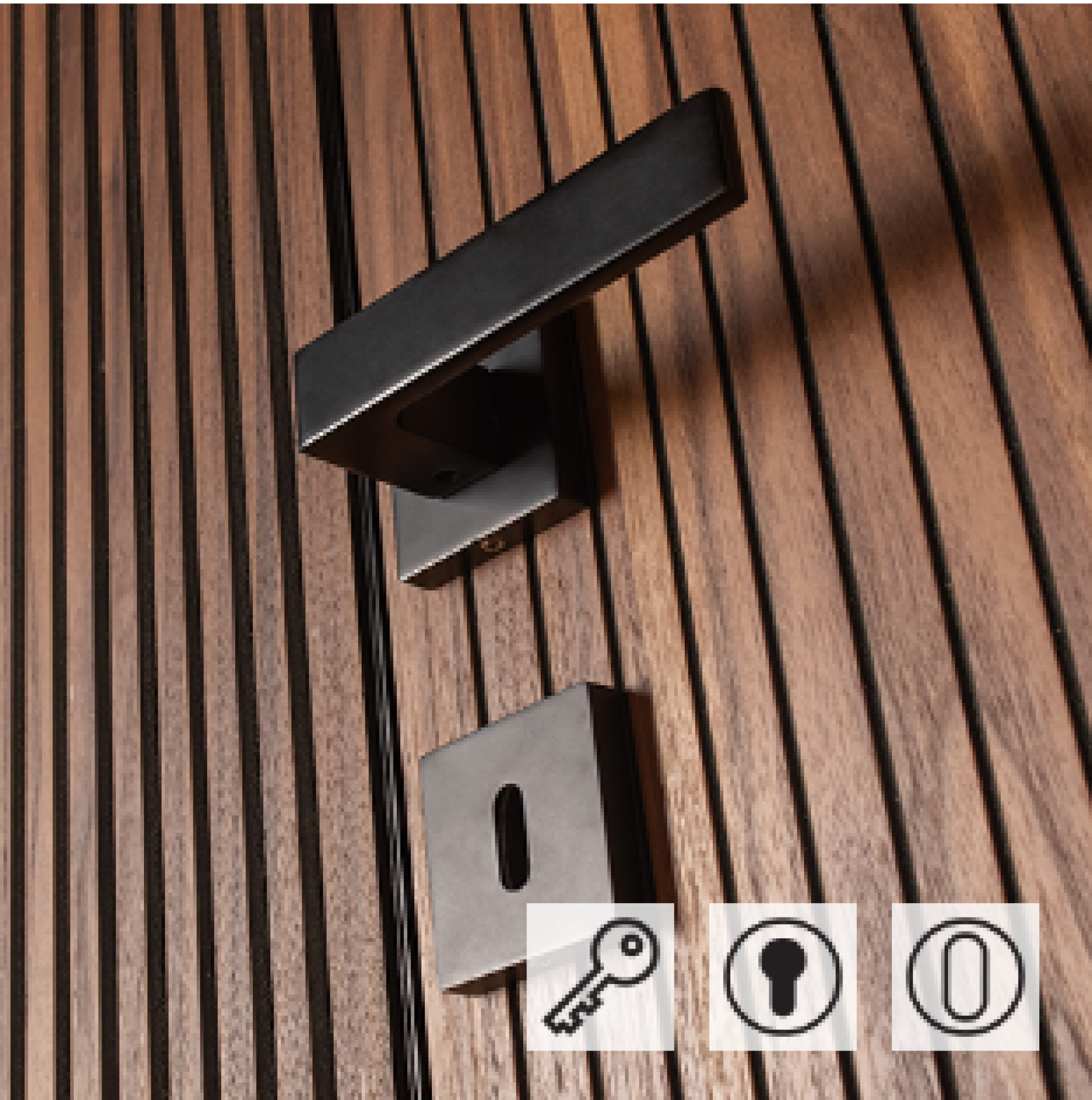 Poignée de porte clio black