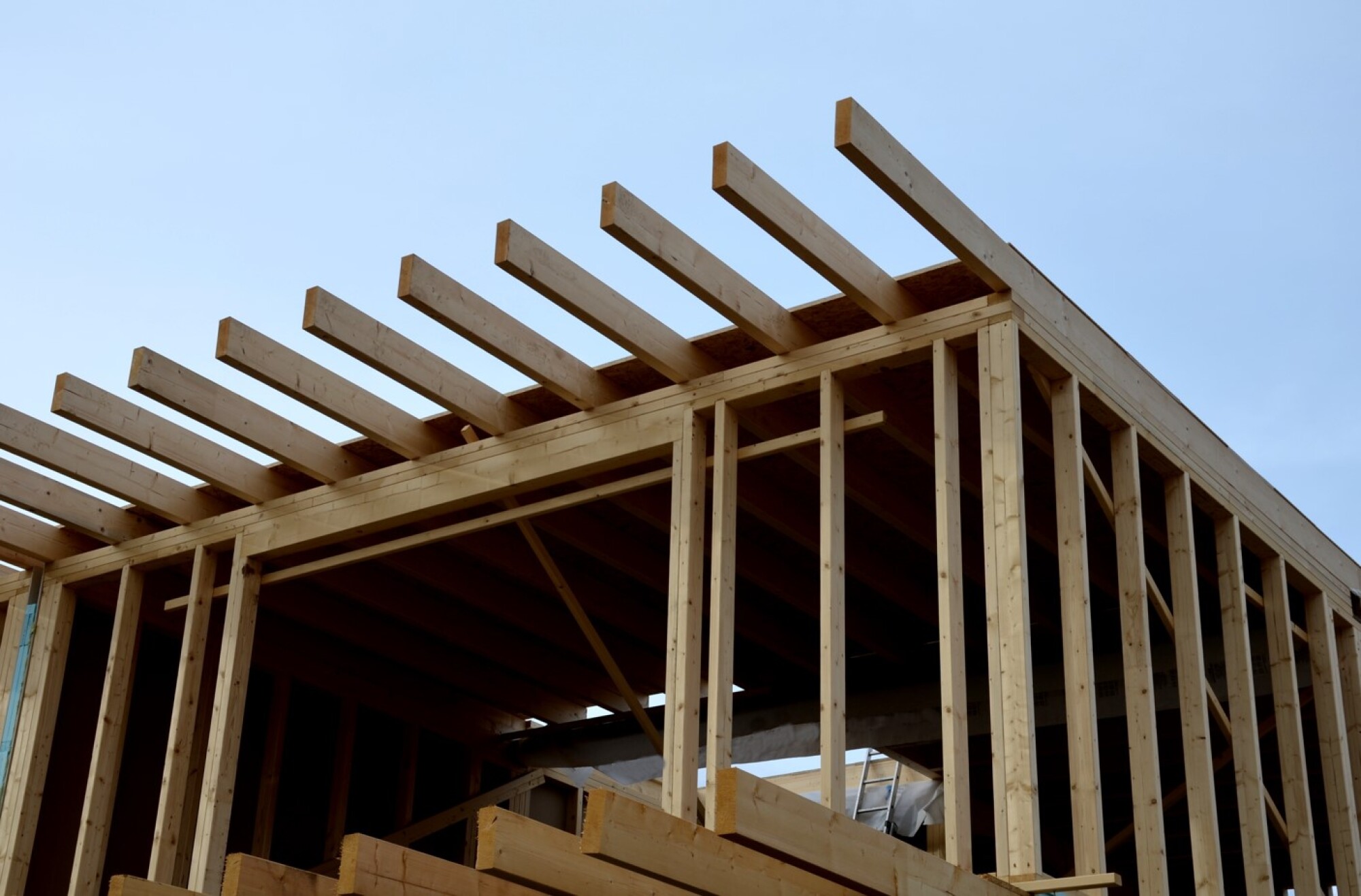 Charpente toit terrasse