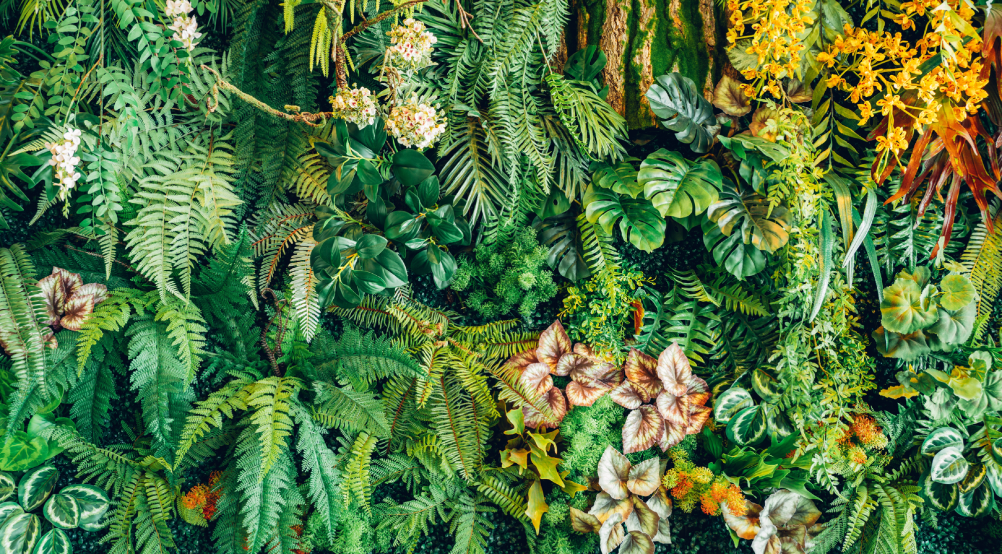 Installation de papiers peints écologiques