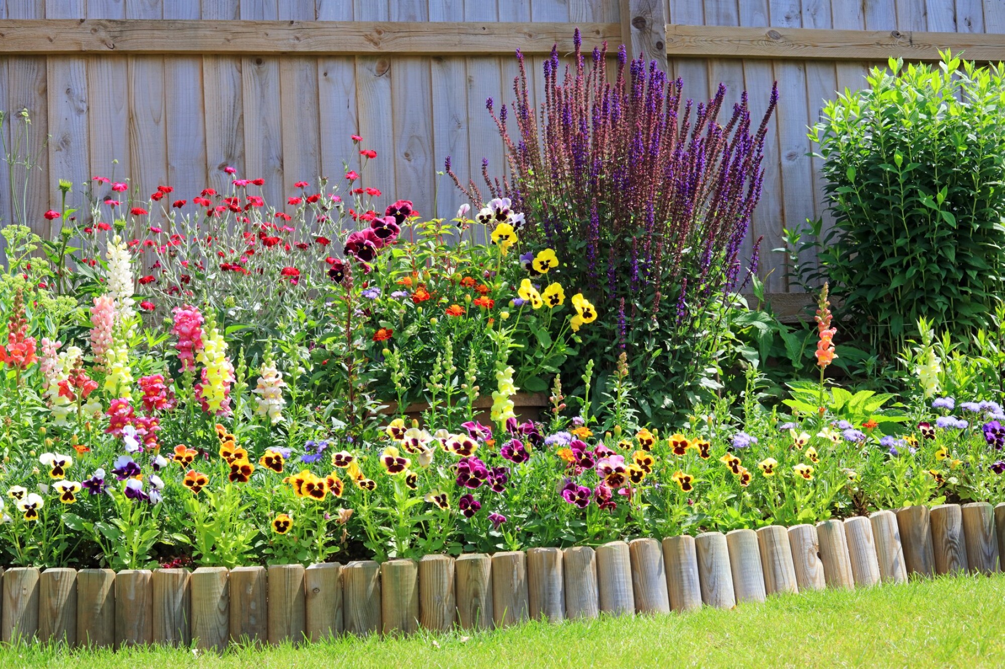 Bordure de jardin en bois