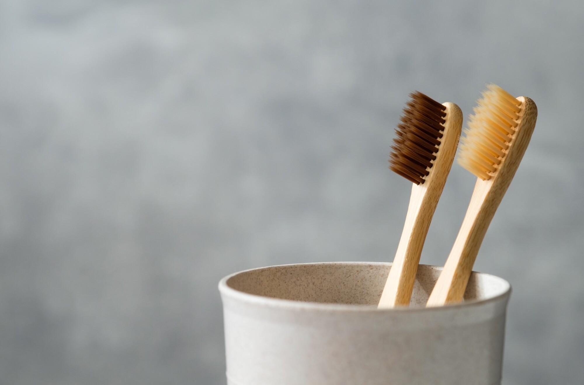 Vente porte brosse à dent