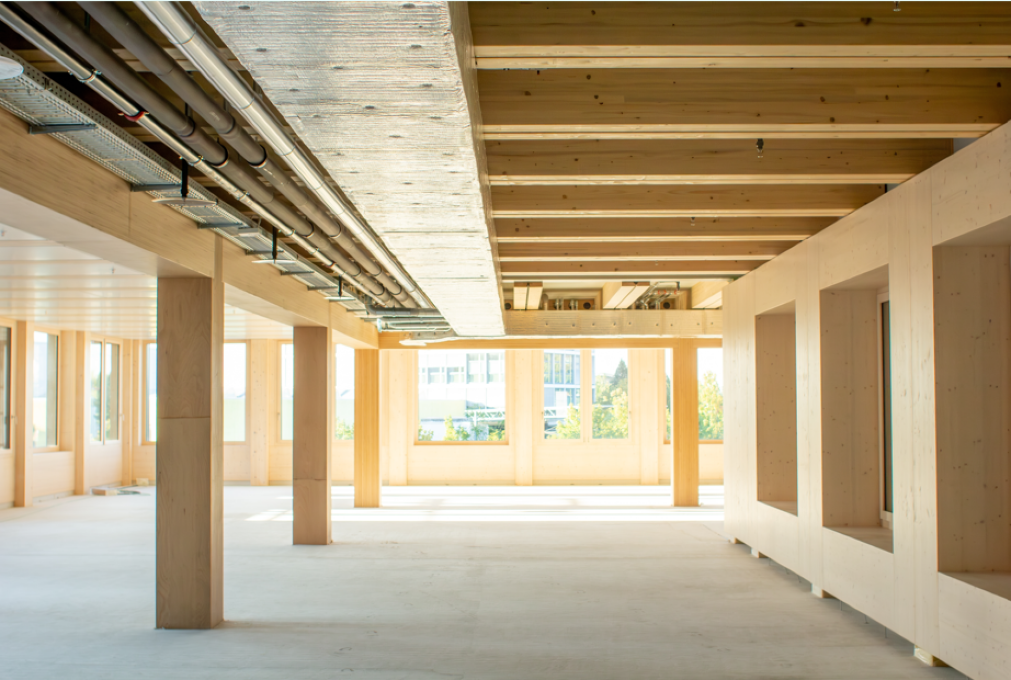 Assemblage charpente bois épicéa