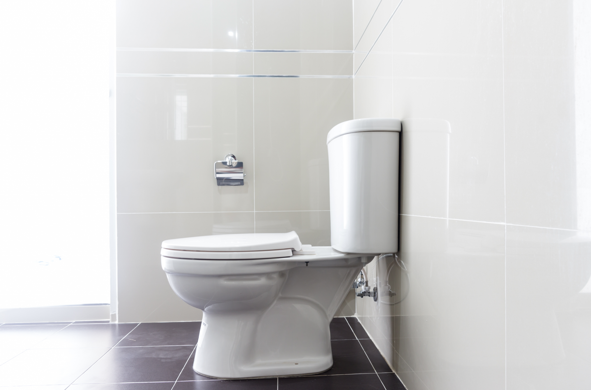 Fourniture et pose de WC broyeur SFA