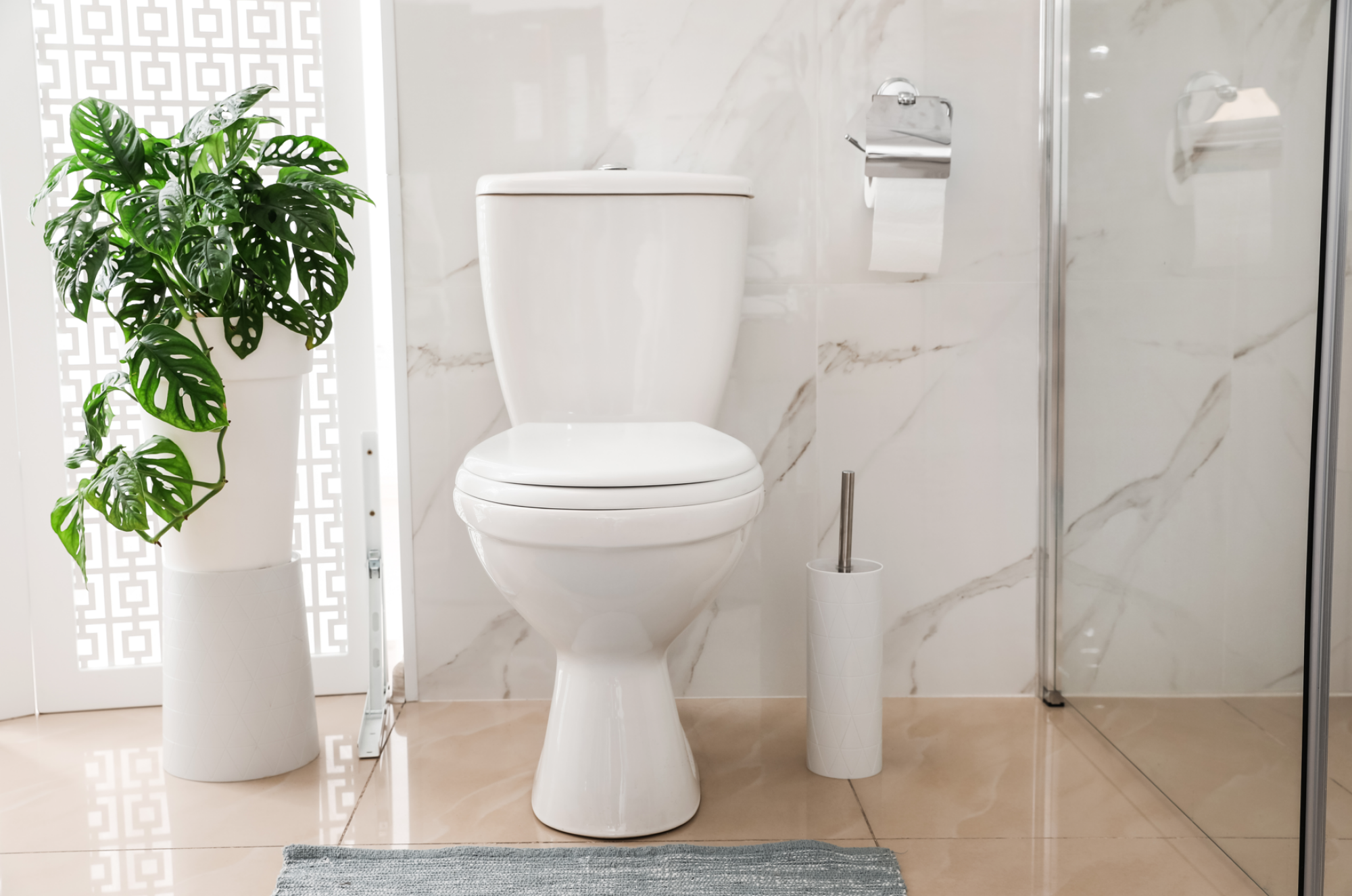 Fourniture et pose de WC Ideal Standard