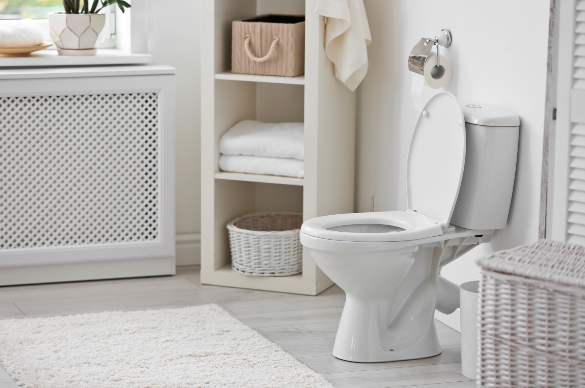 Fourniture et pose de WC Roca