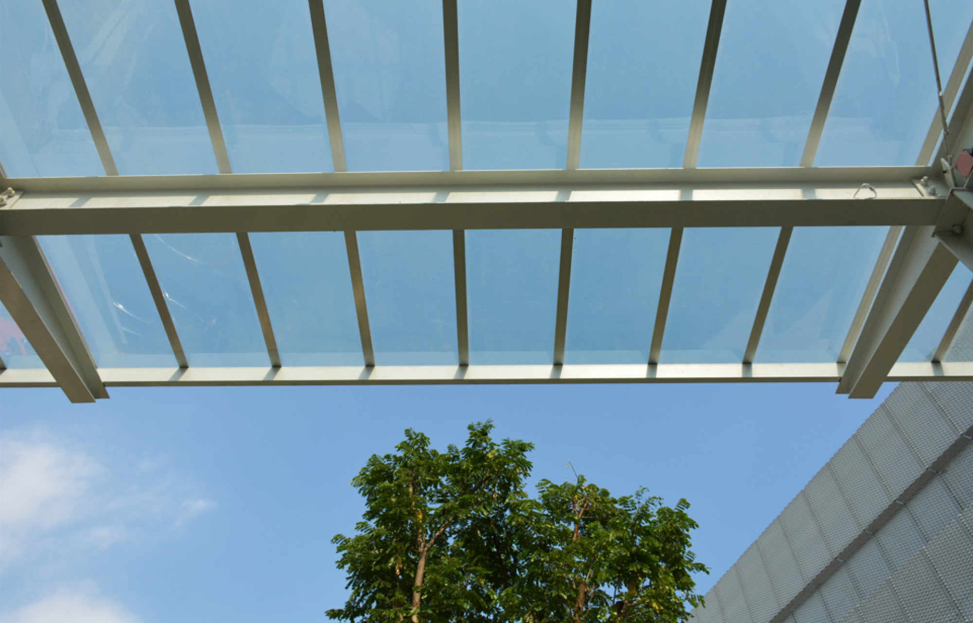 Installation de couvertures translucides