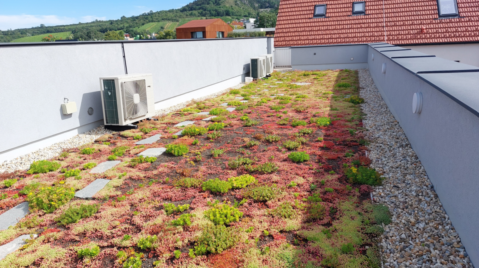 Nettoyage de toiture végétalisée