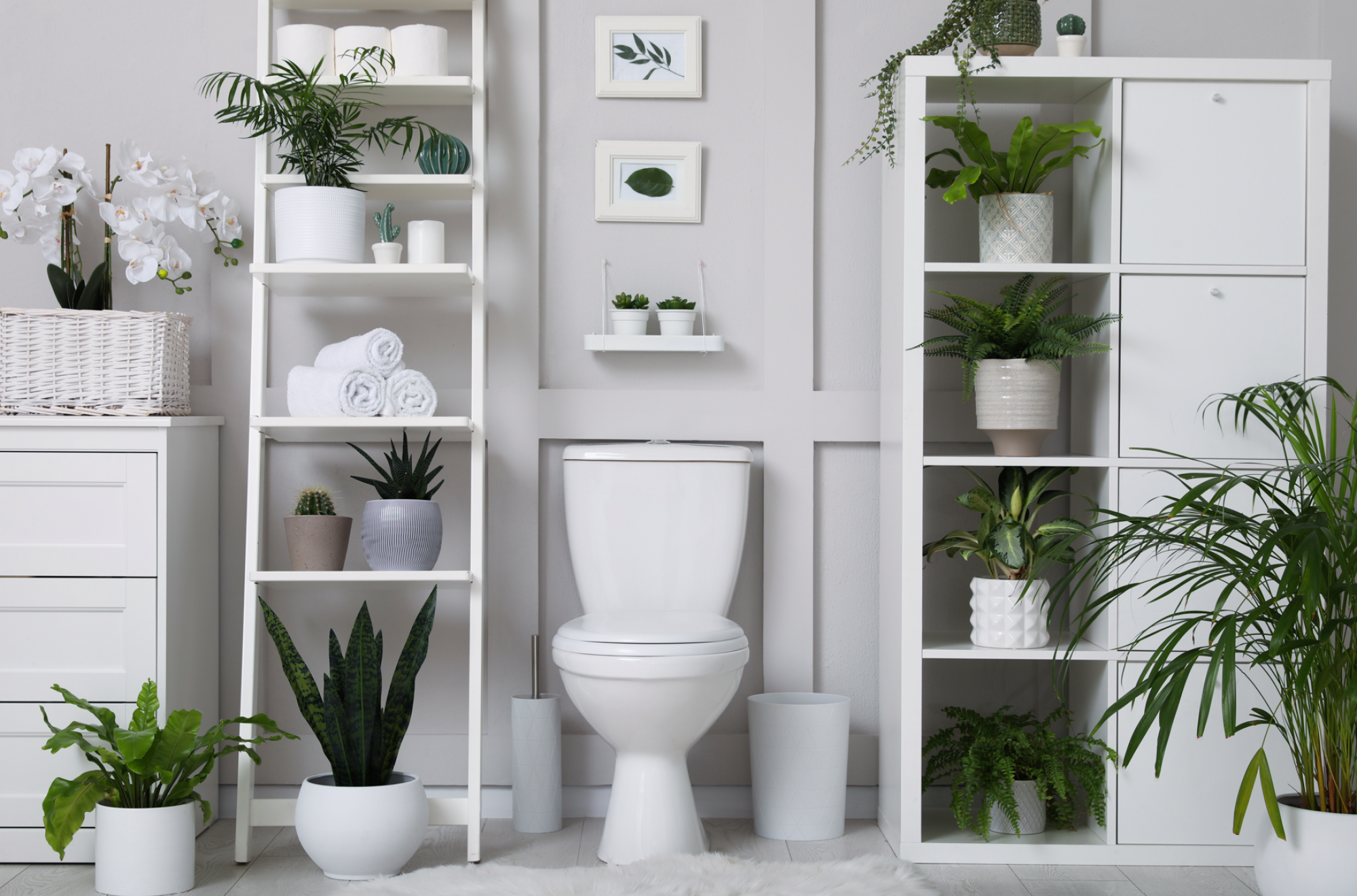 Pose d'abattants de WC ergonomique