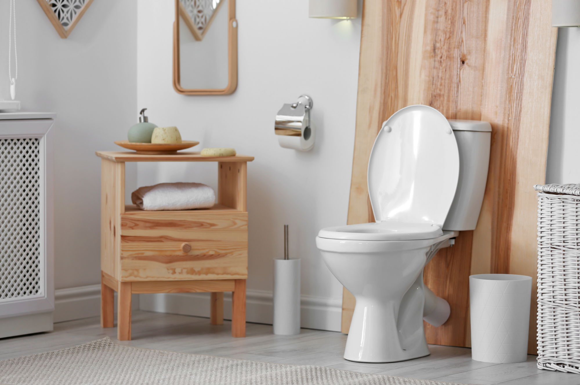 Pose de WC à économie d'eau