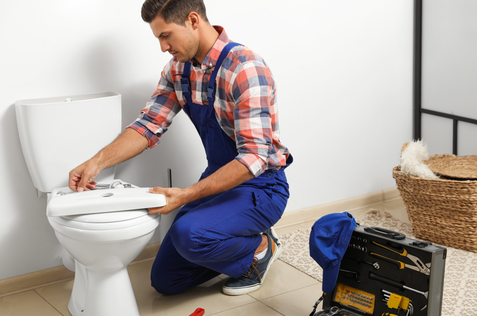 Remplacement  d'une chasse d'eau