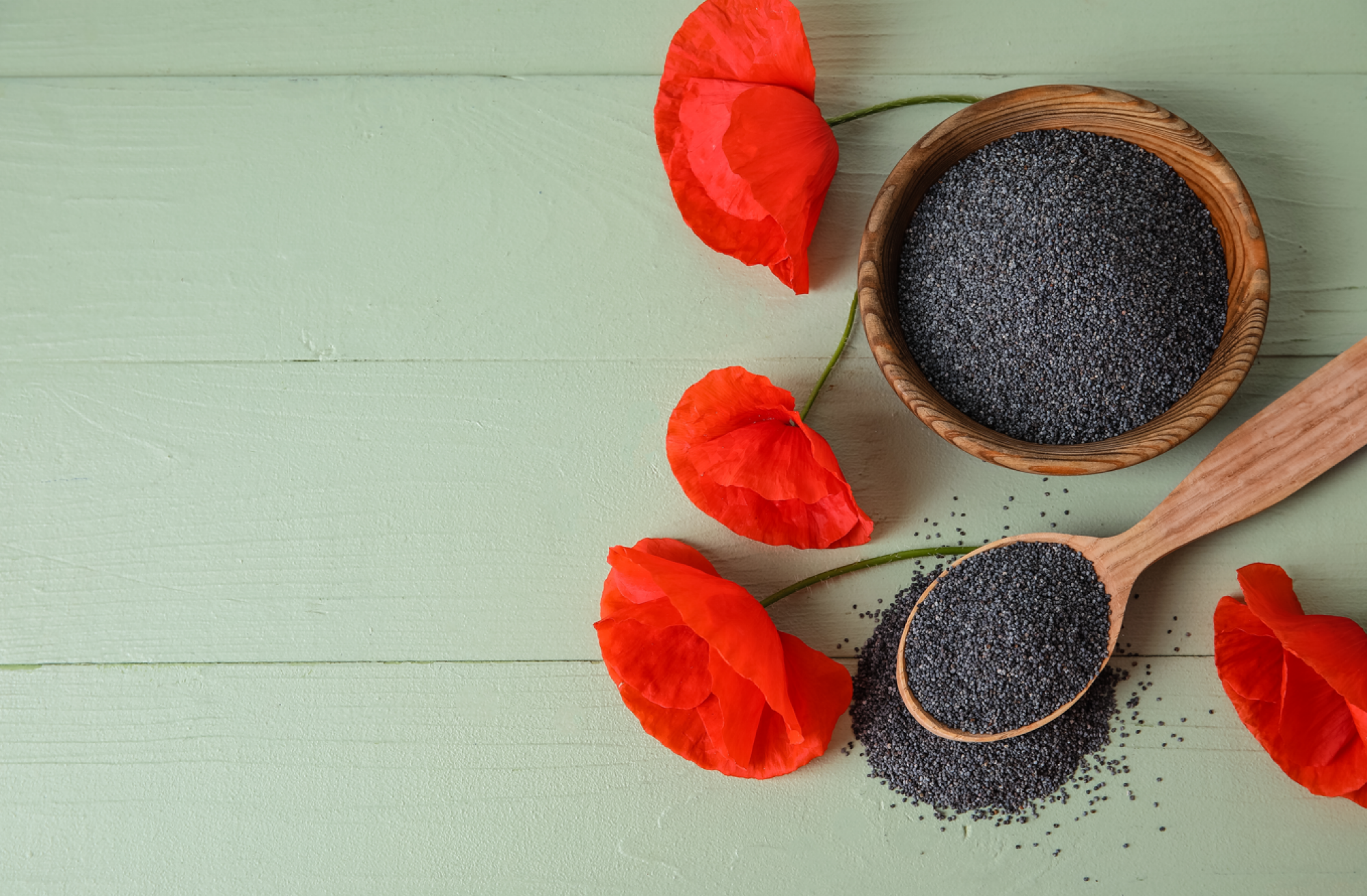 Fourniture de graines de coquelicots