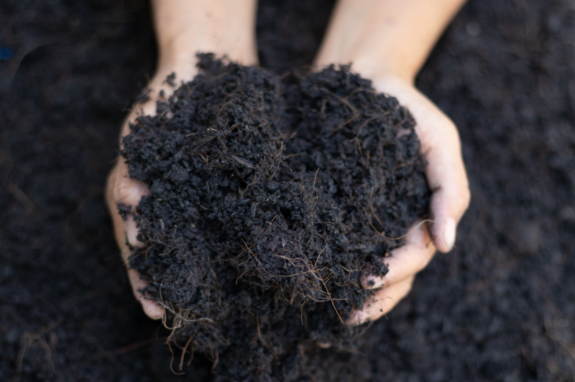 Fourniture de terreau de qualité