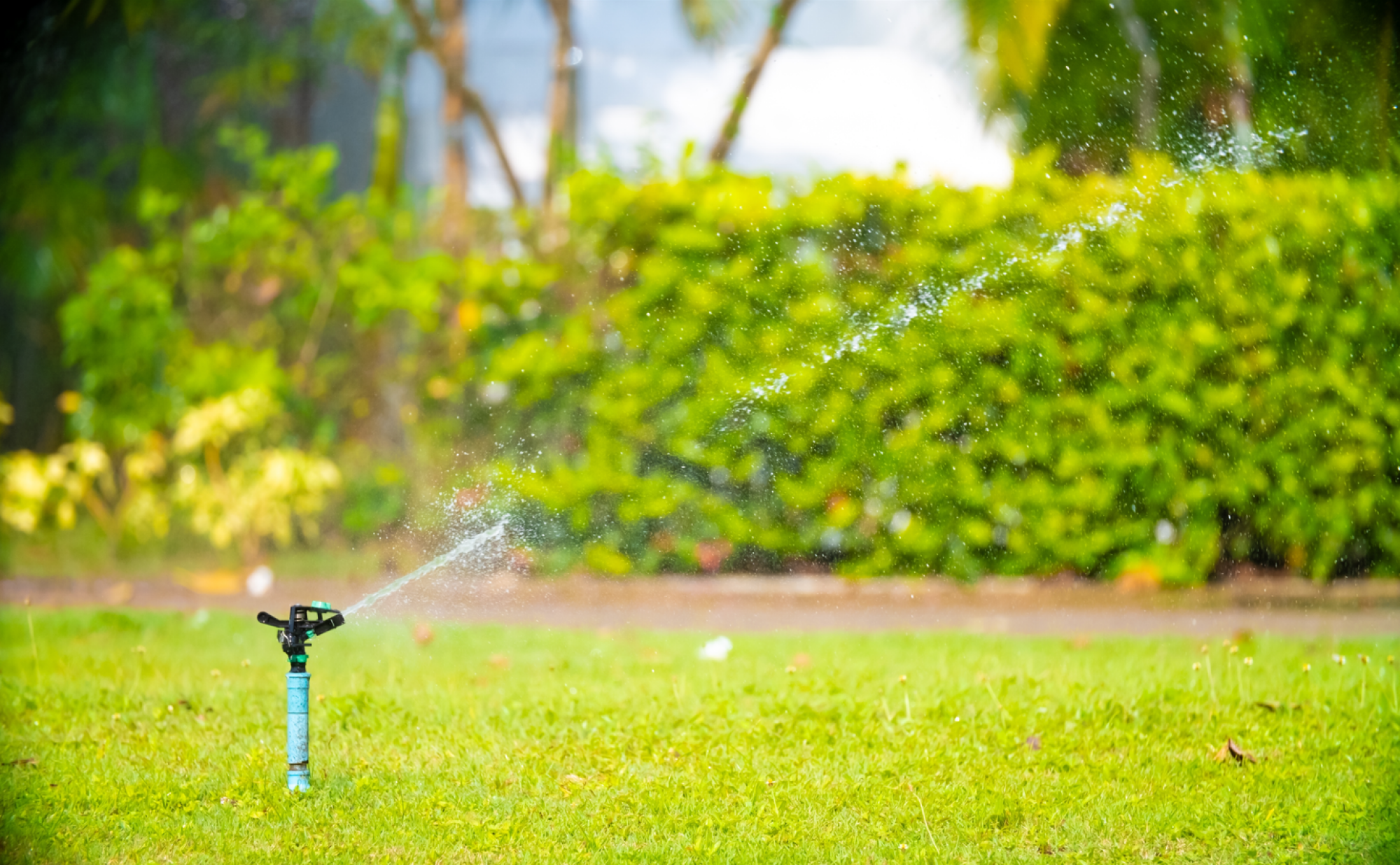 Installation d'arroseurs