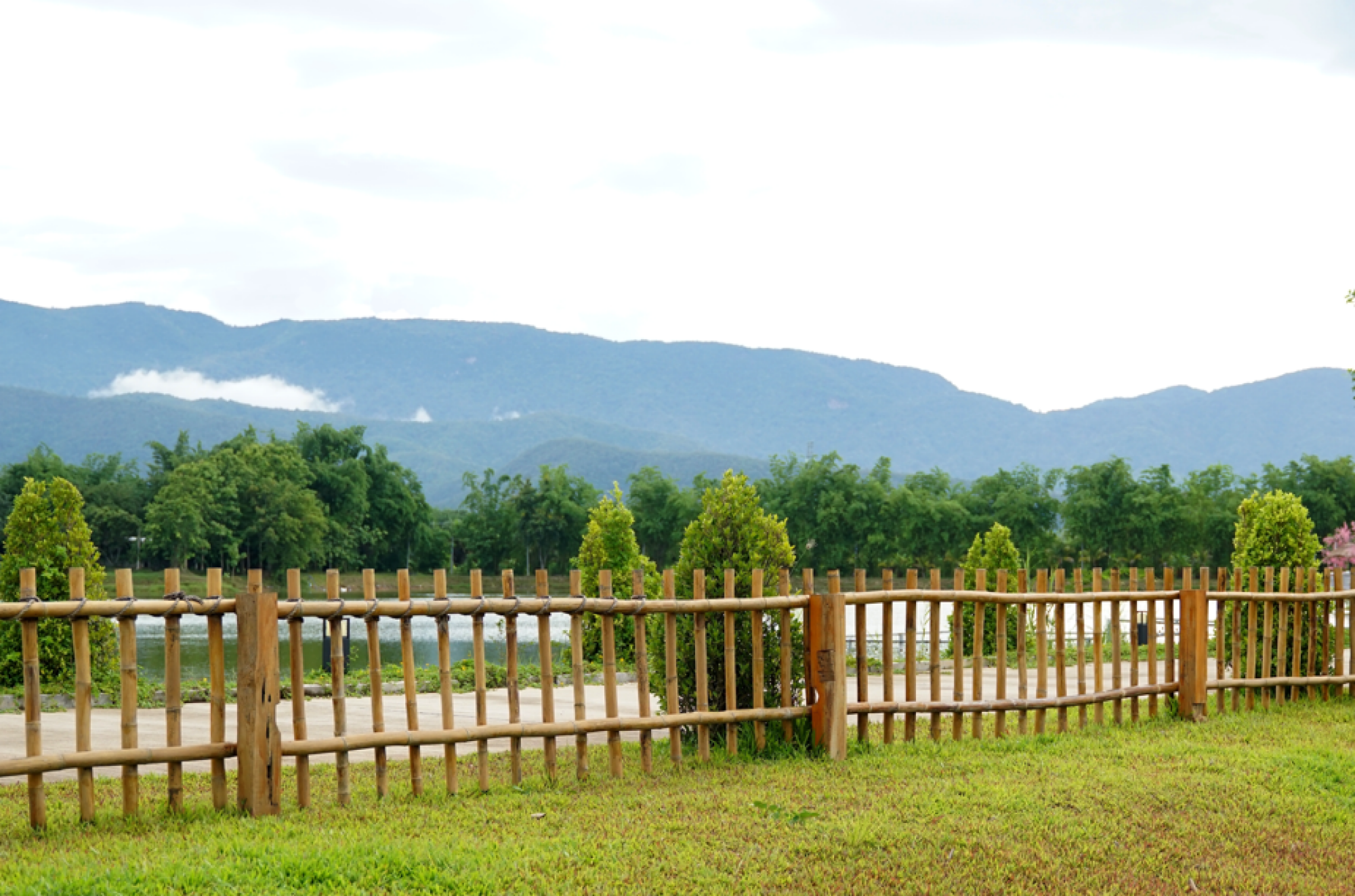 Installation de clôture pour jardin