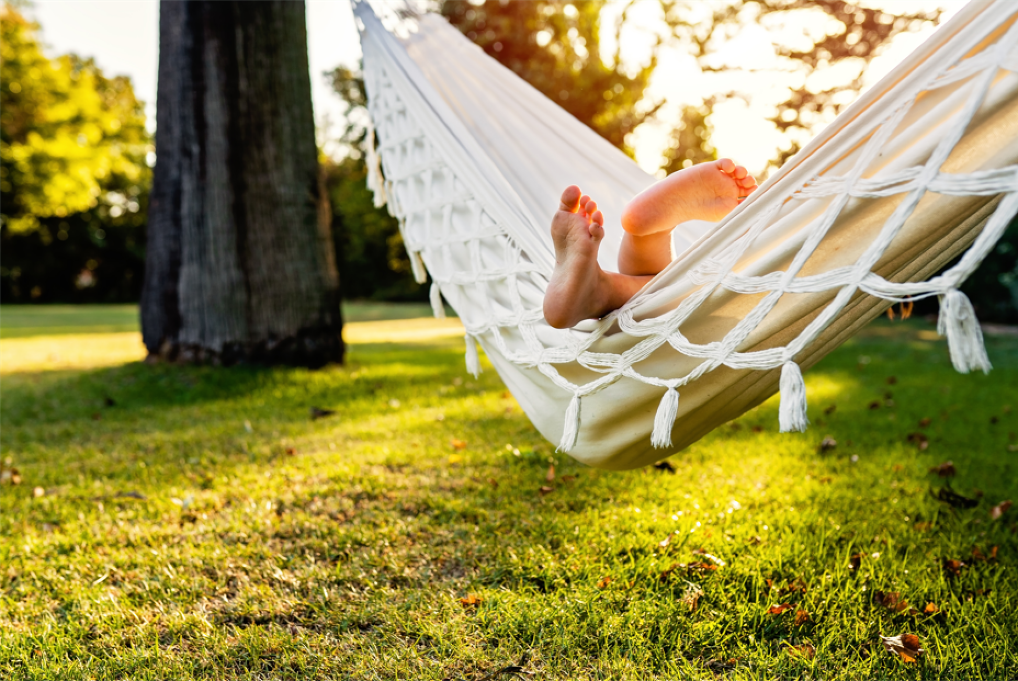 Mise en place de hamac pour jardin