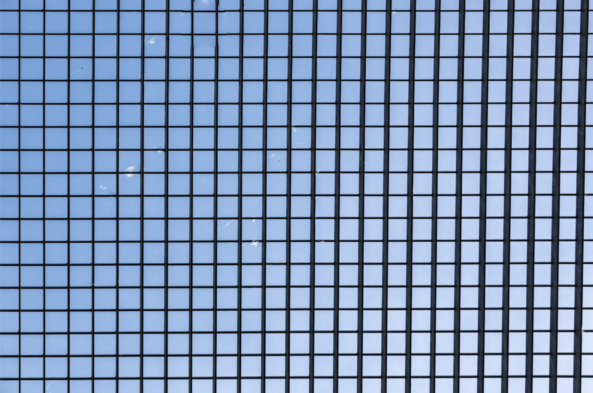 Pose de grillage rigide