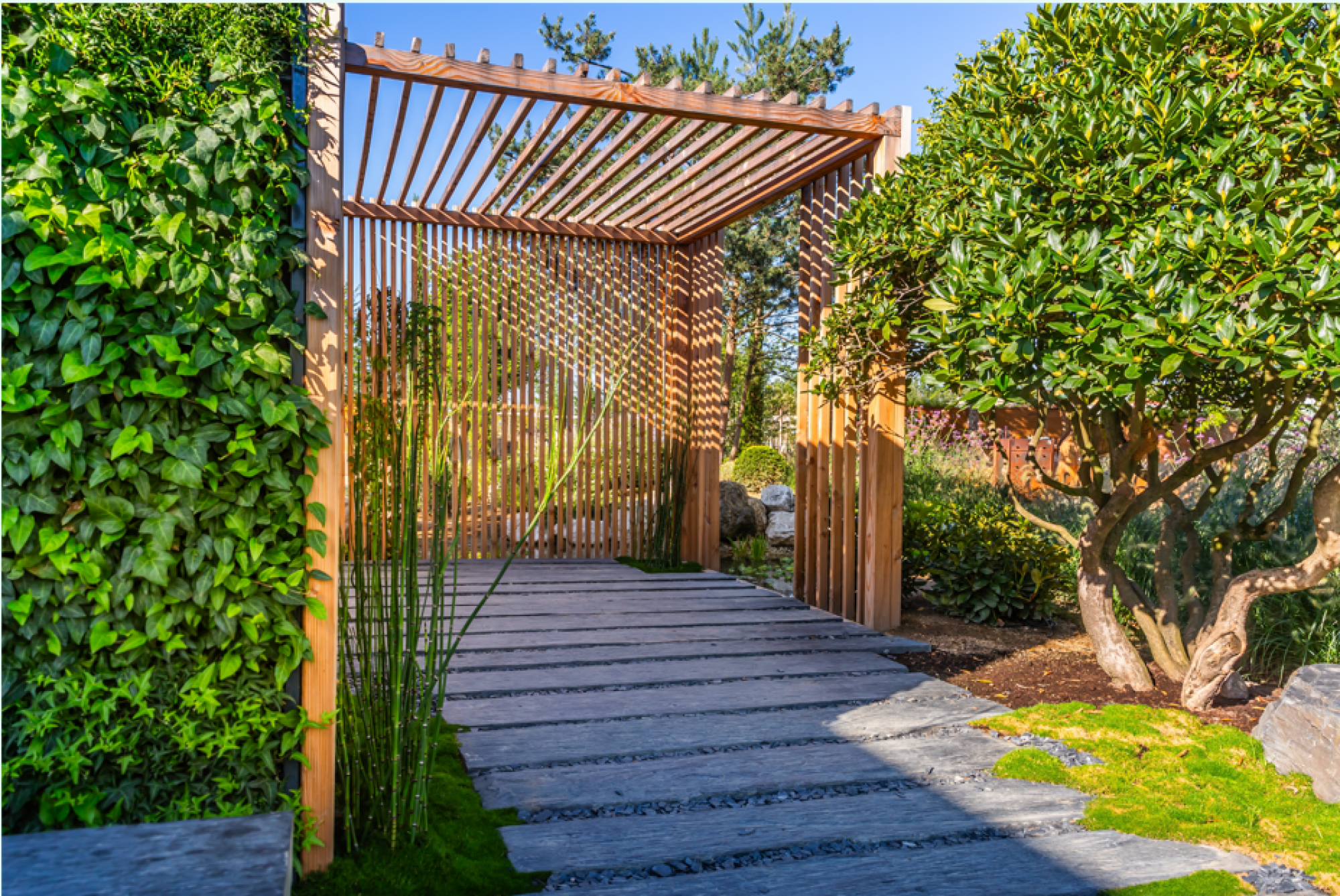 Pose de pergola en bois