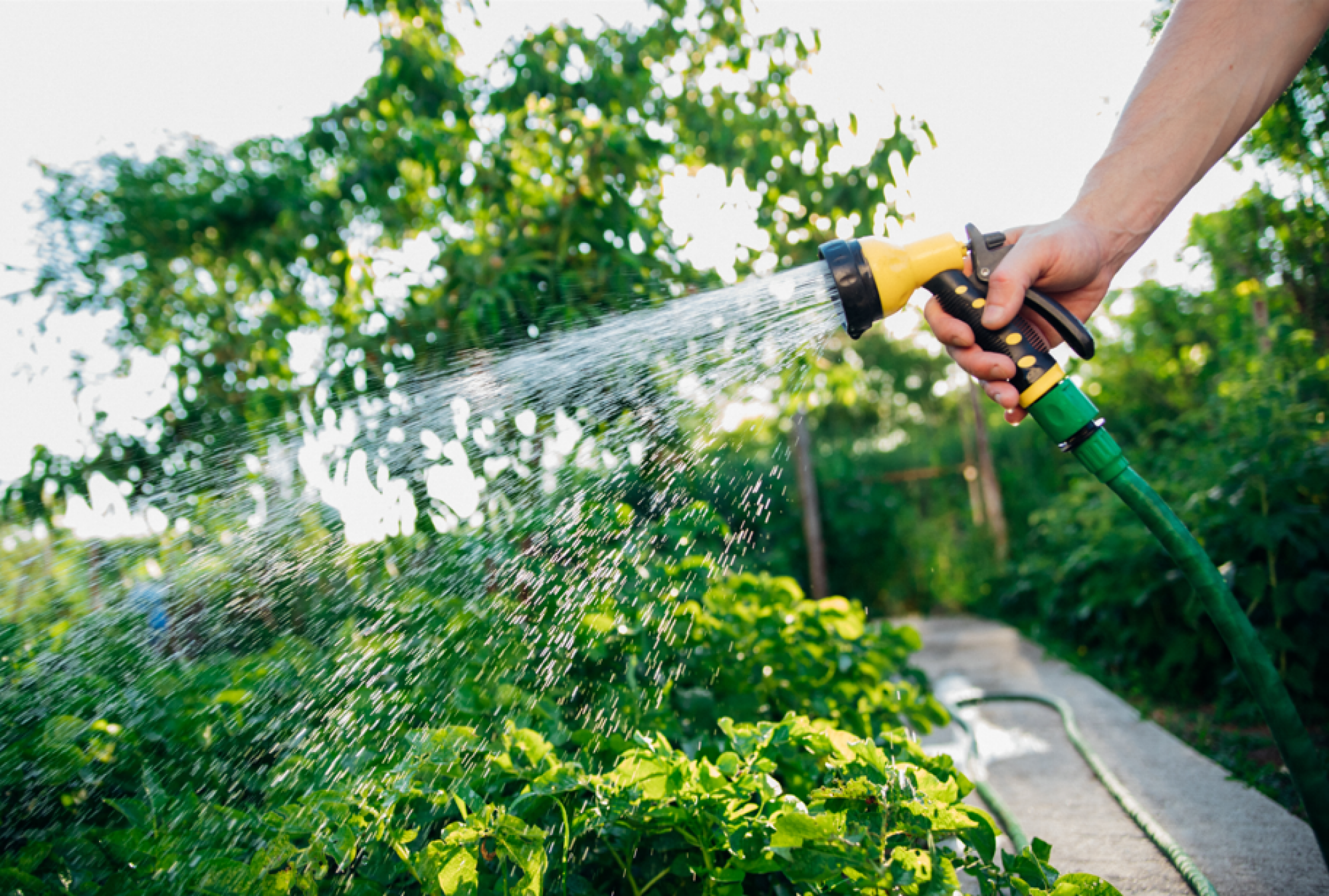 Service d'arrosage de jardin