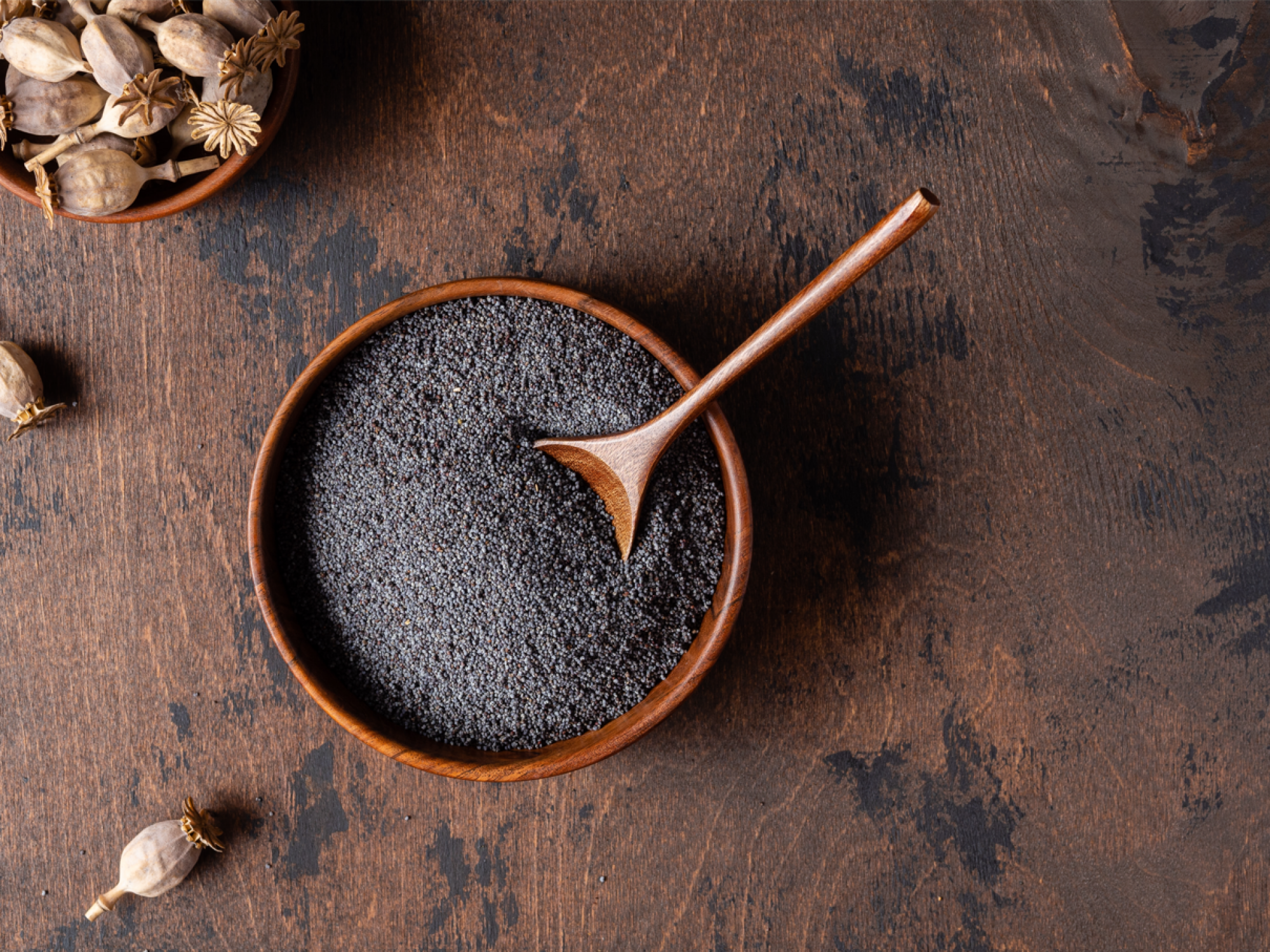 Vente de graines de pavot