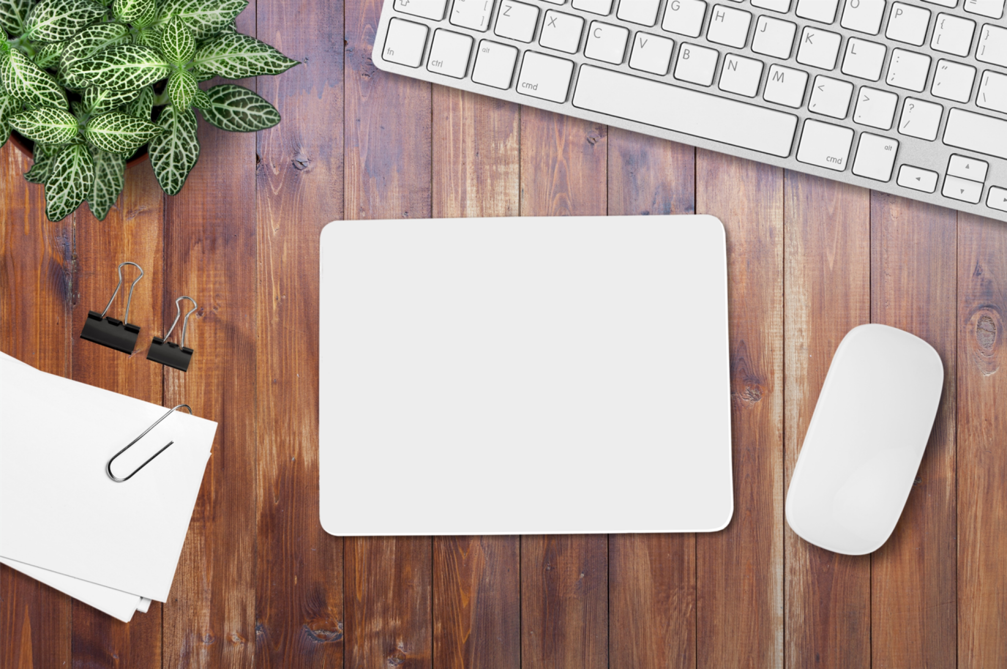 Tapis de souris ergonomique