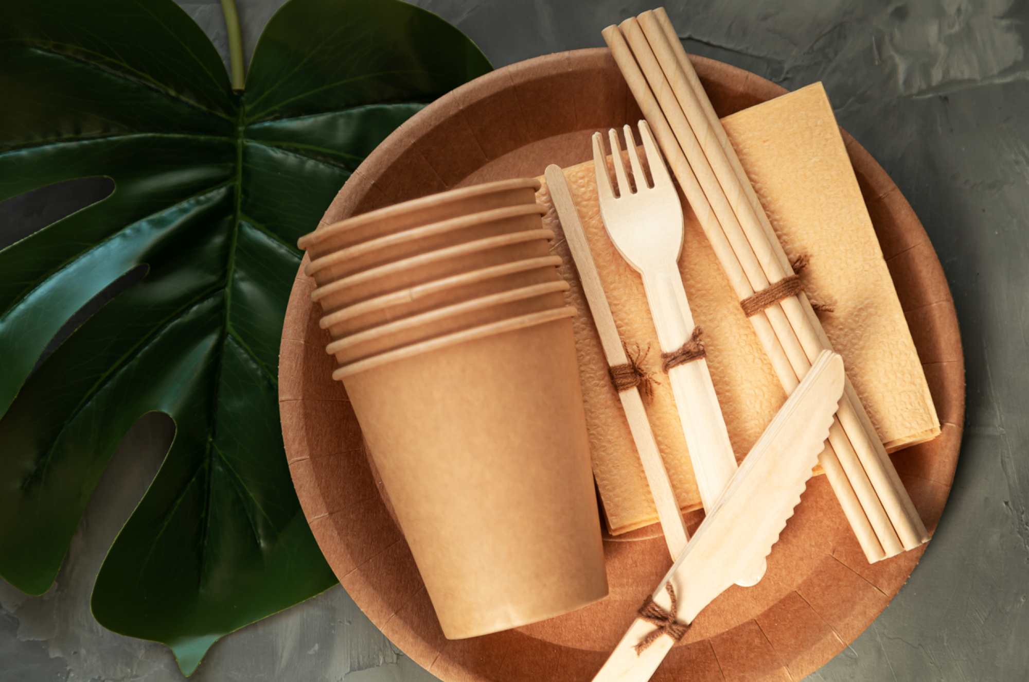 Vaisselle jetable biodégradable