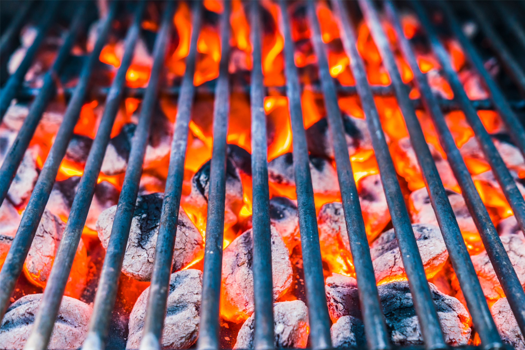 Vente de briquettes pour barbecue