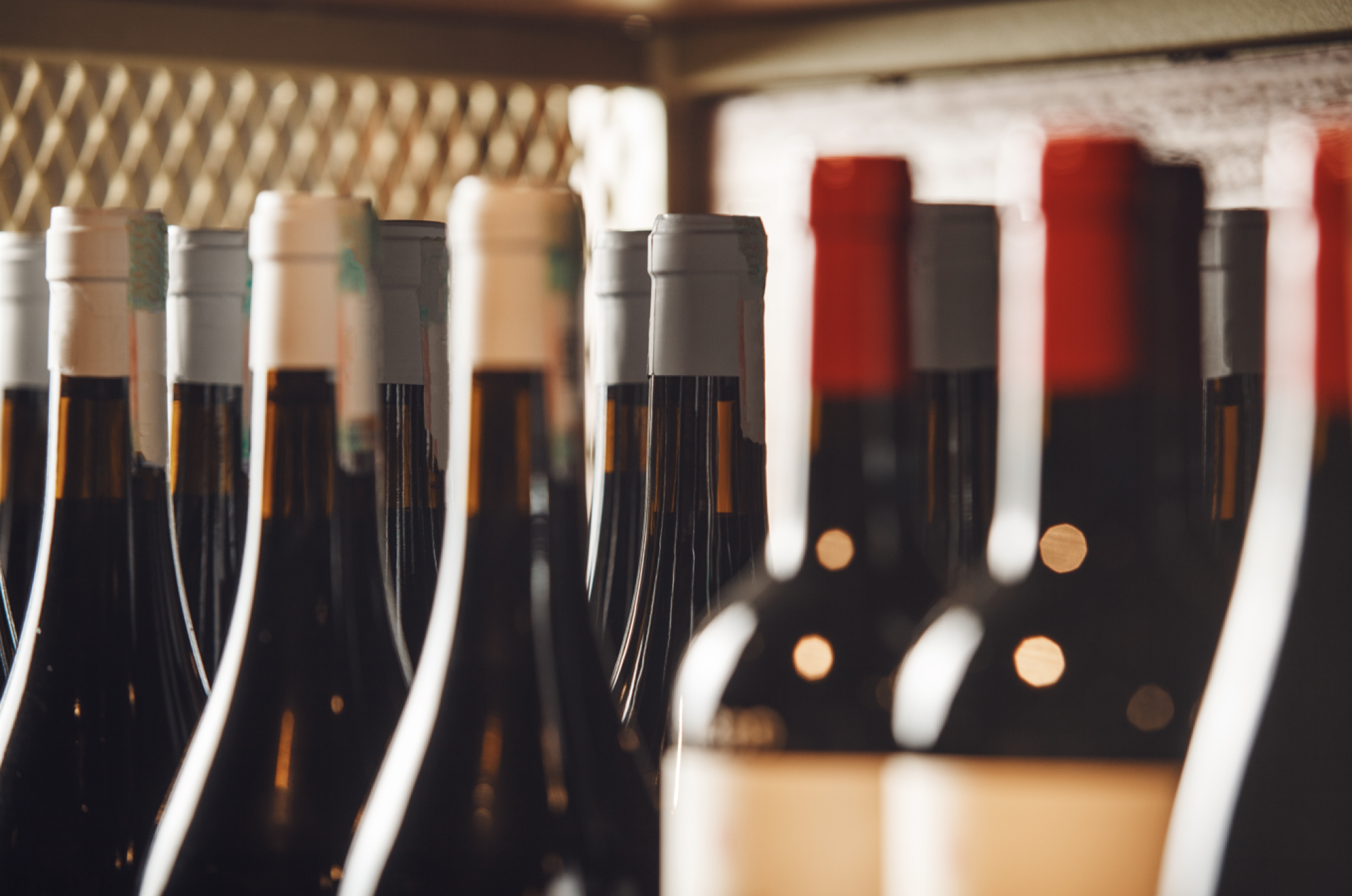 Cave à vin de vieillissement