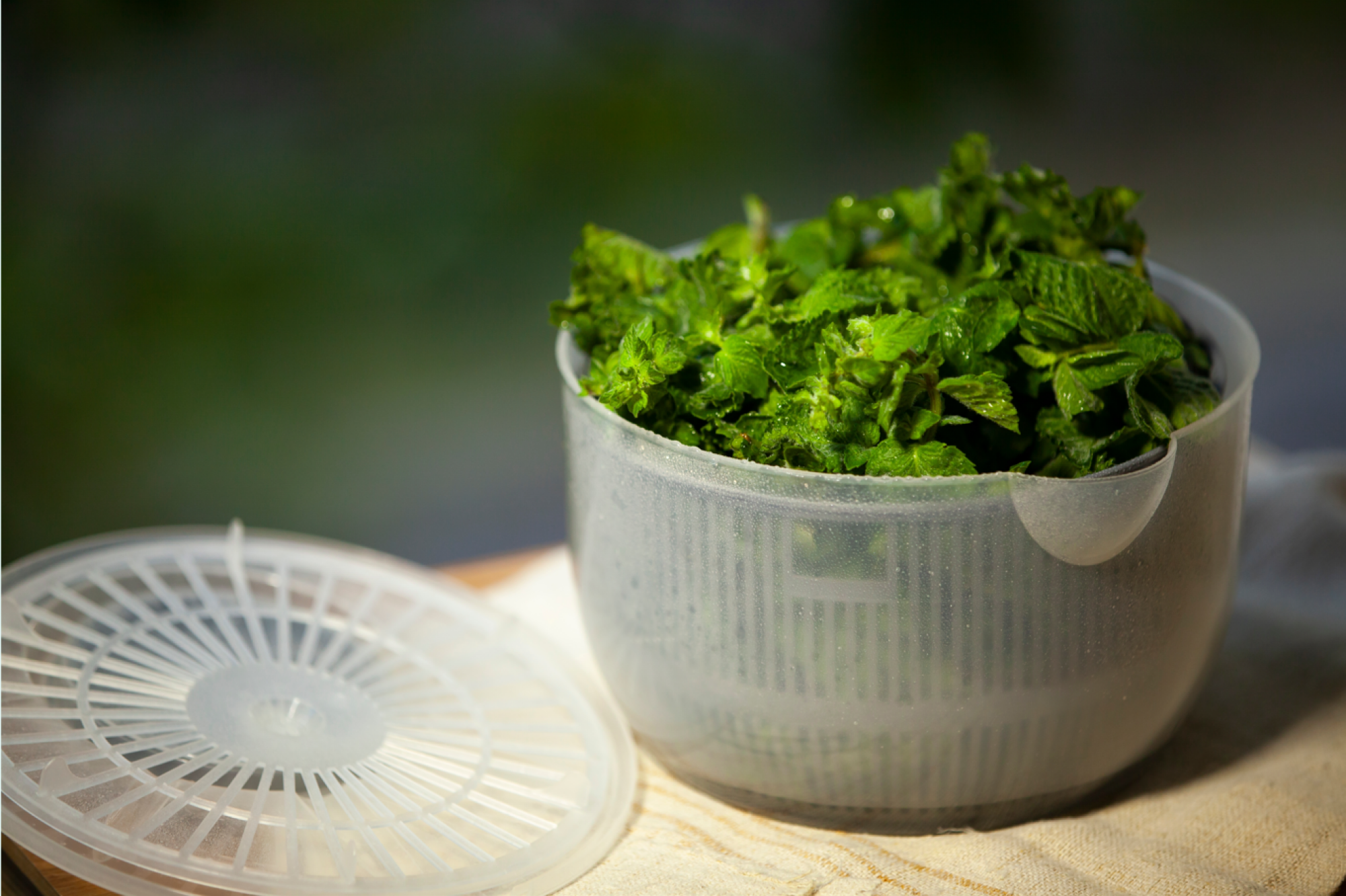 Essoreuse à salade avec poignée de tirage