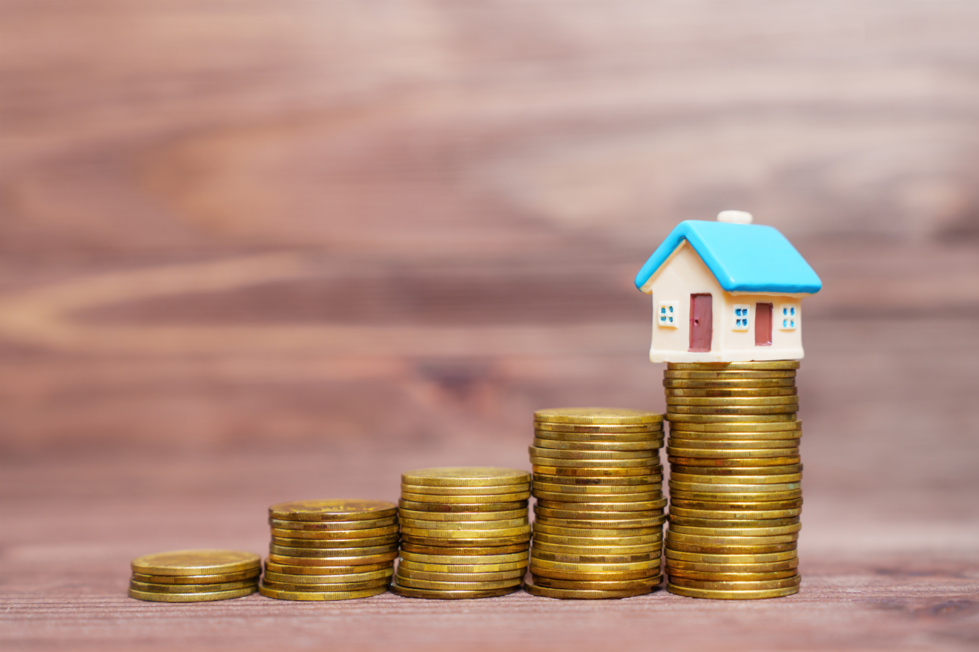 Conseil en gestion de patrimoine