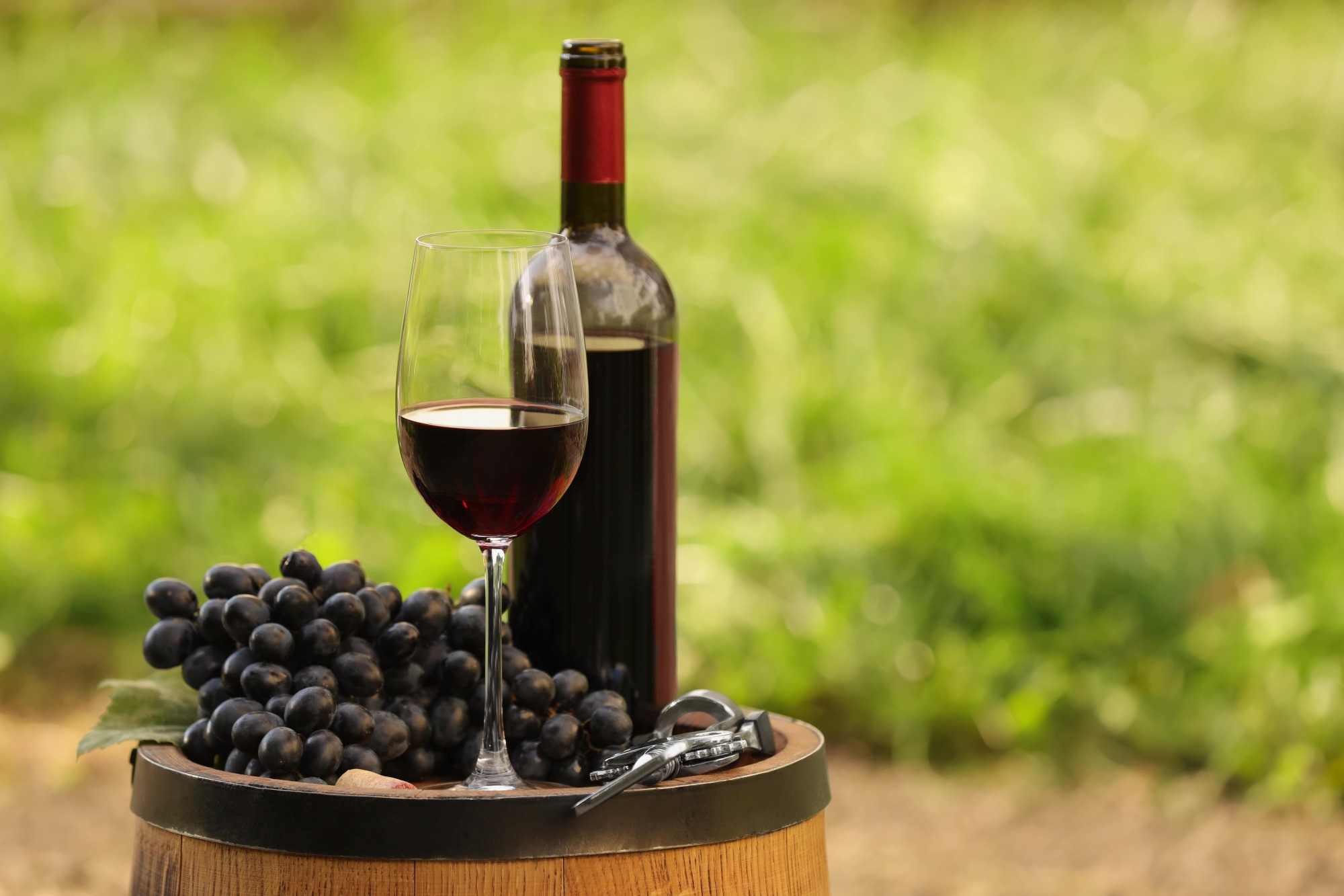 Cours sur les vignobles bordelais