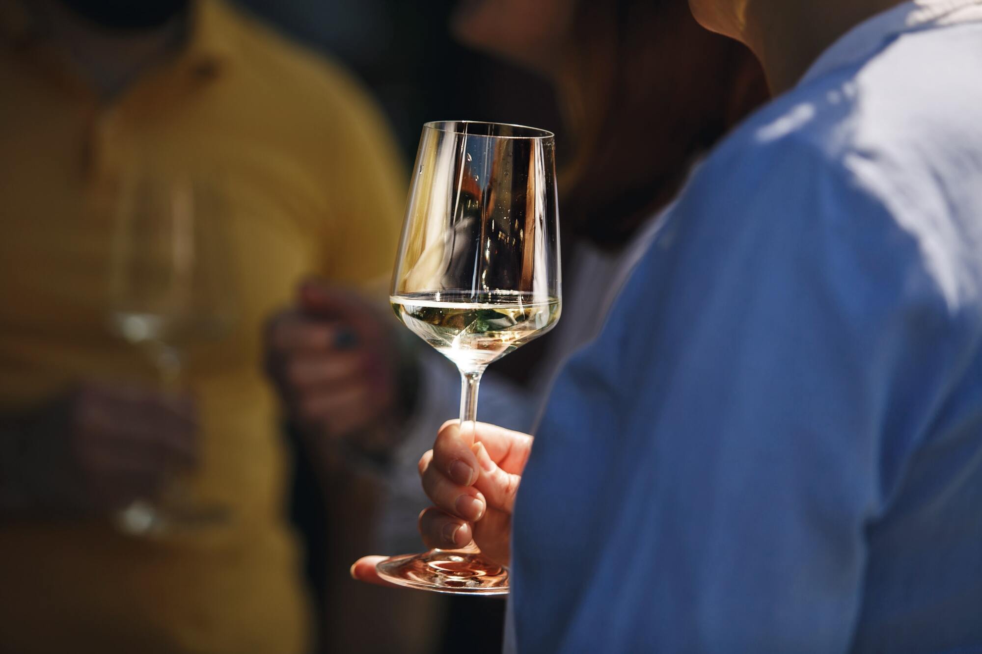 Dégustation de vins blancs