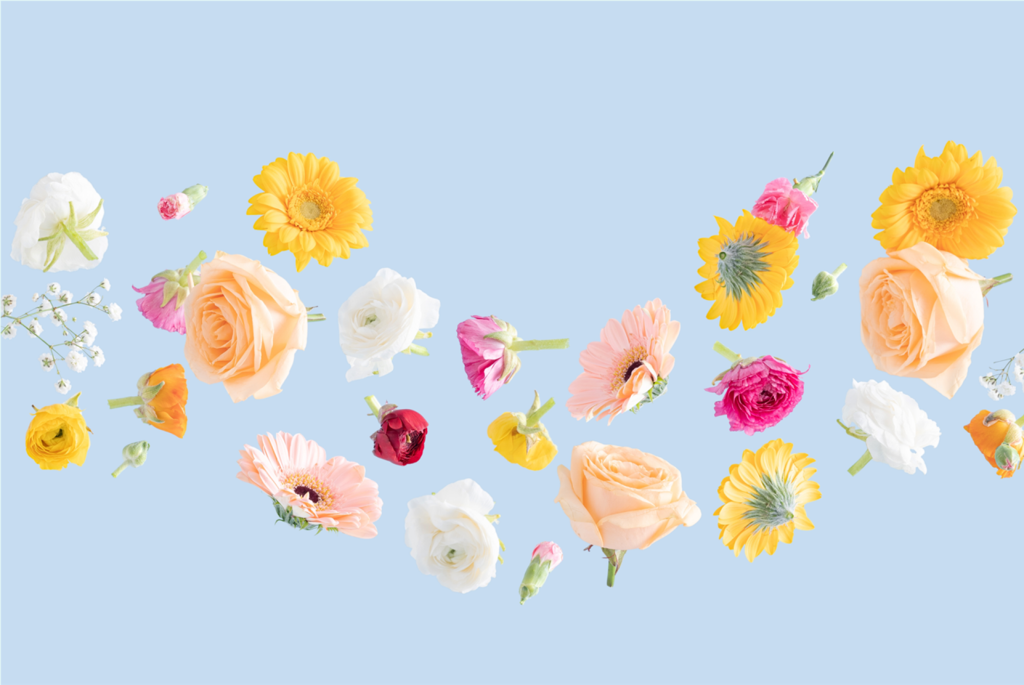 Fleurissement de tombe