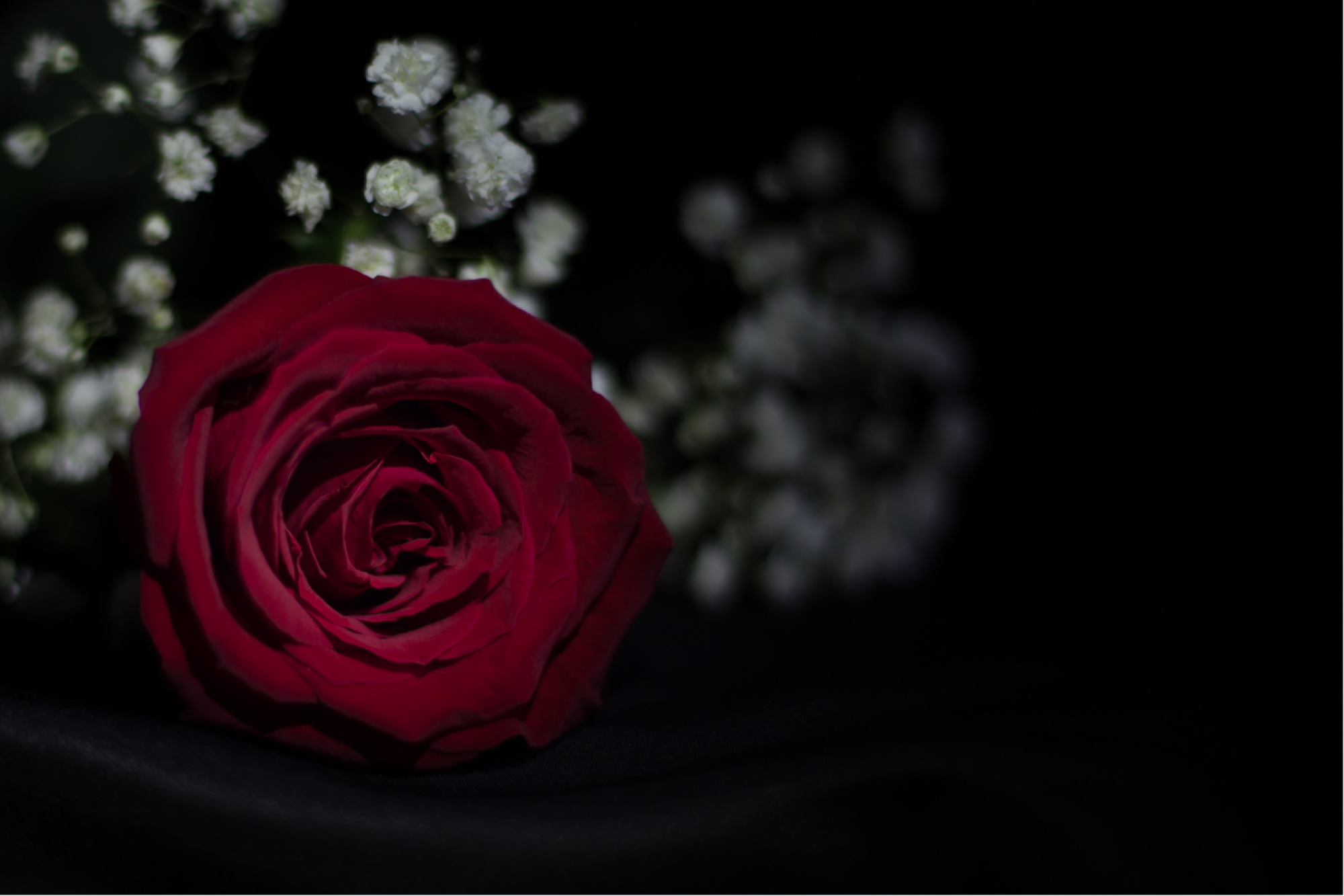 Location de chambres funéraires