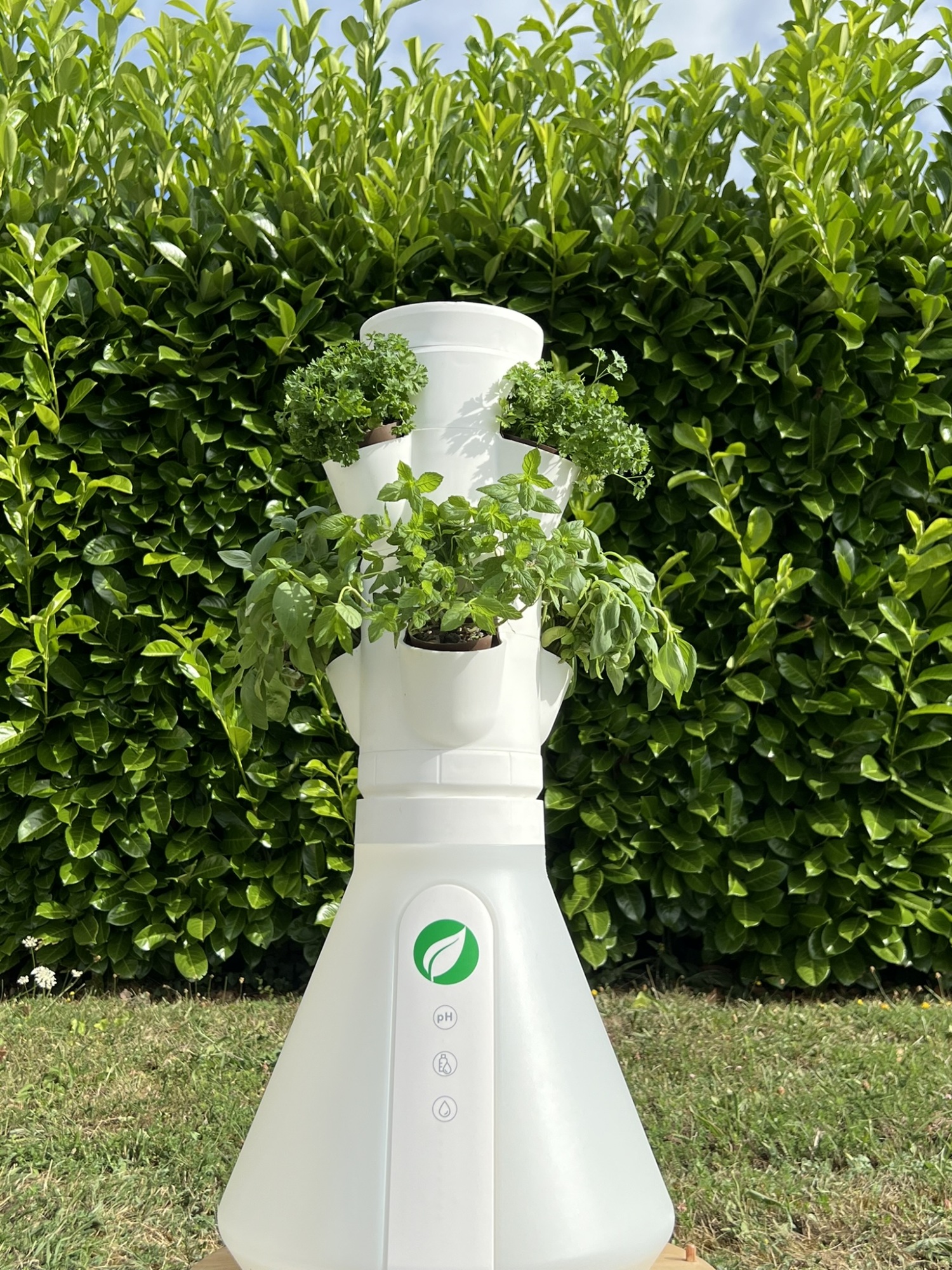 HomePotager Tradi – Culture Hydroponique, 6 Plants,  Extérieur