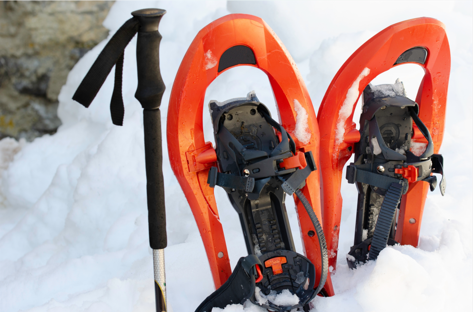 Raquettes pour neige