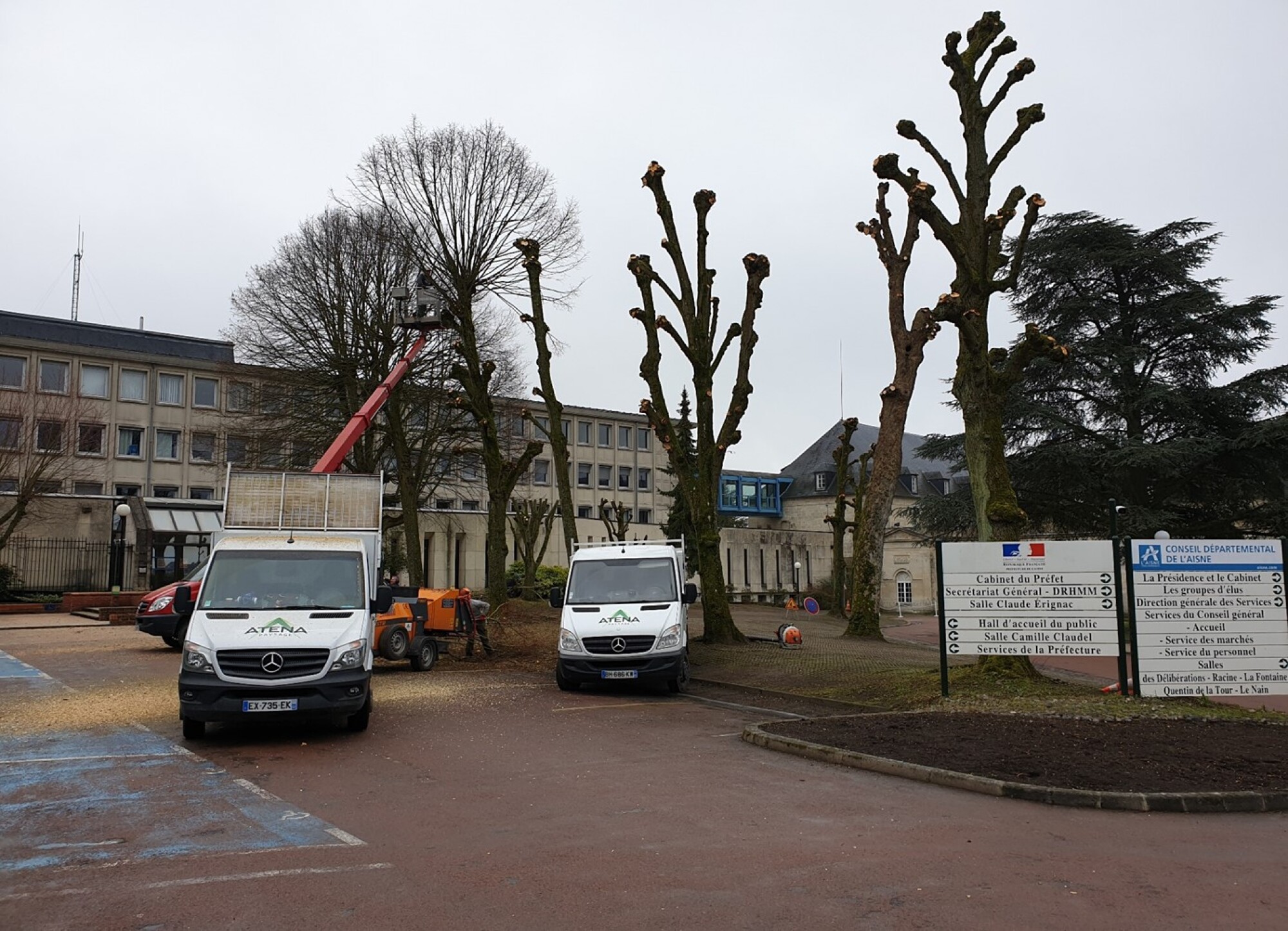 Abattage - Elagage : Particulier ou Professionnel