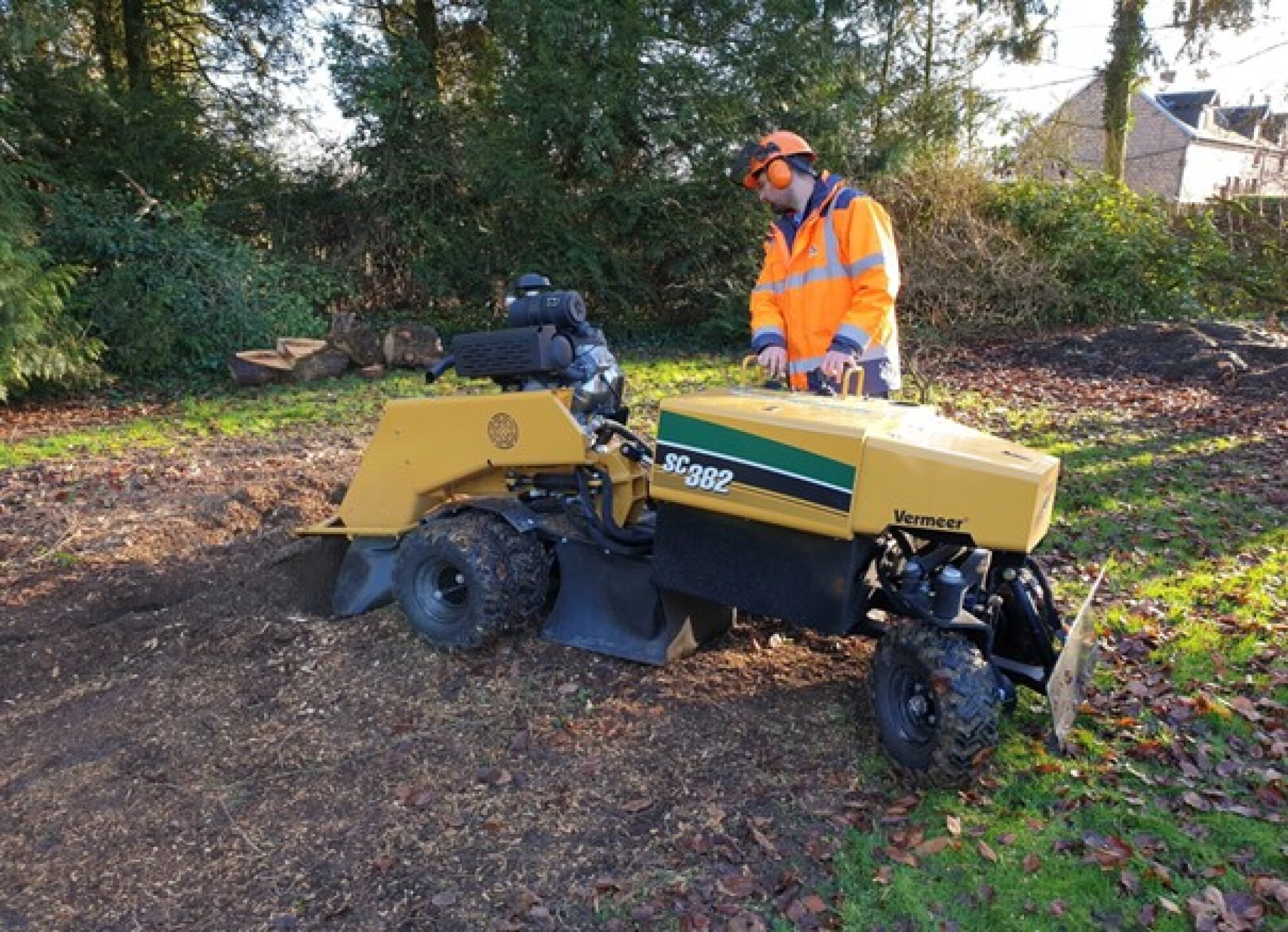 Abattage - Elagage : Particulier ou Professionnel