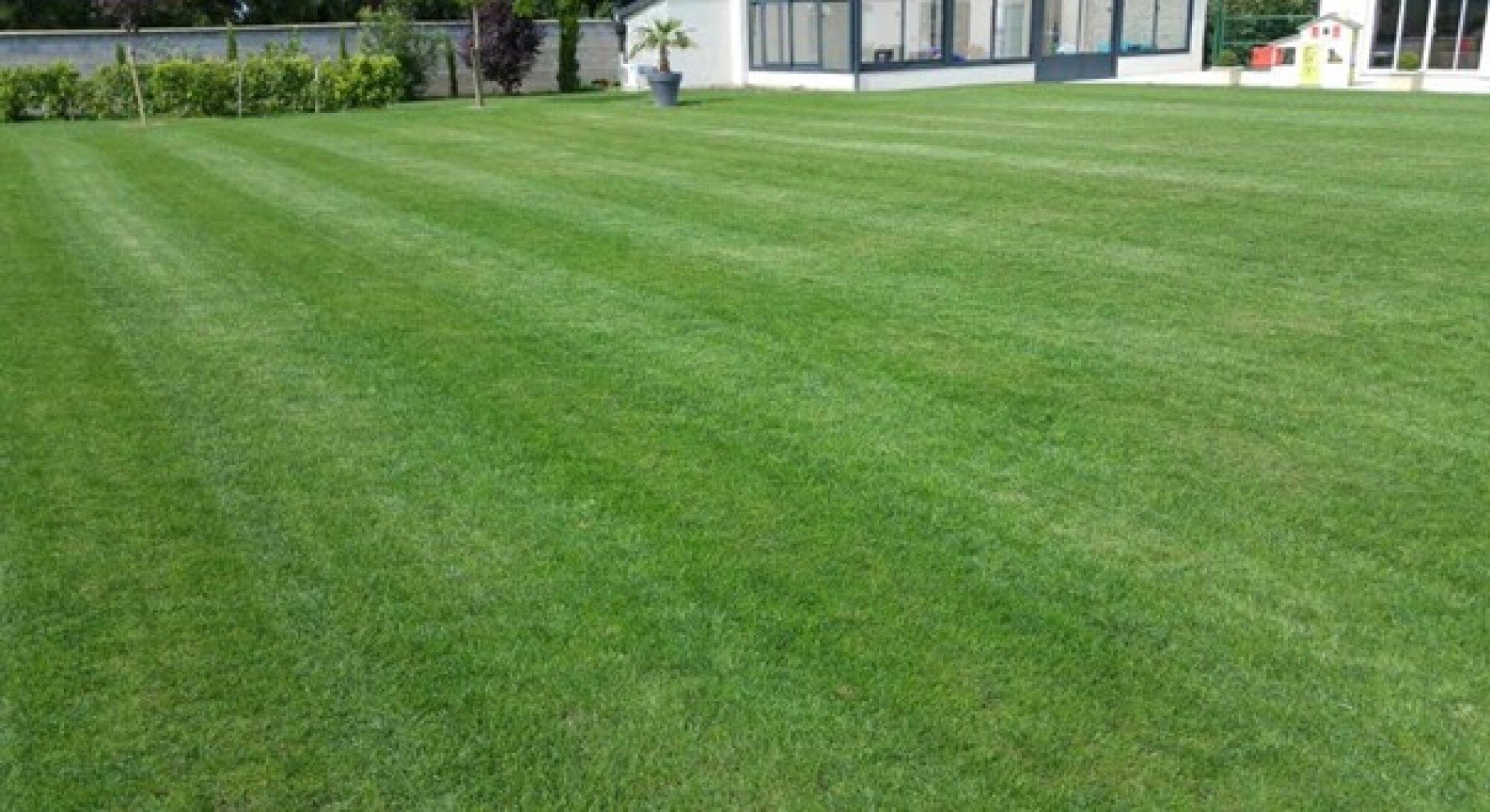 Engazonnement : Particuliers - Professionnels - Collectivités