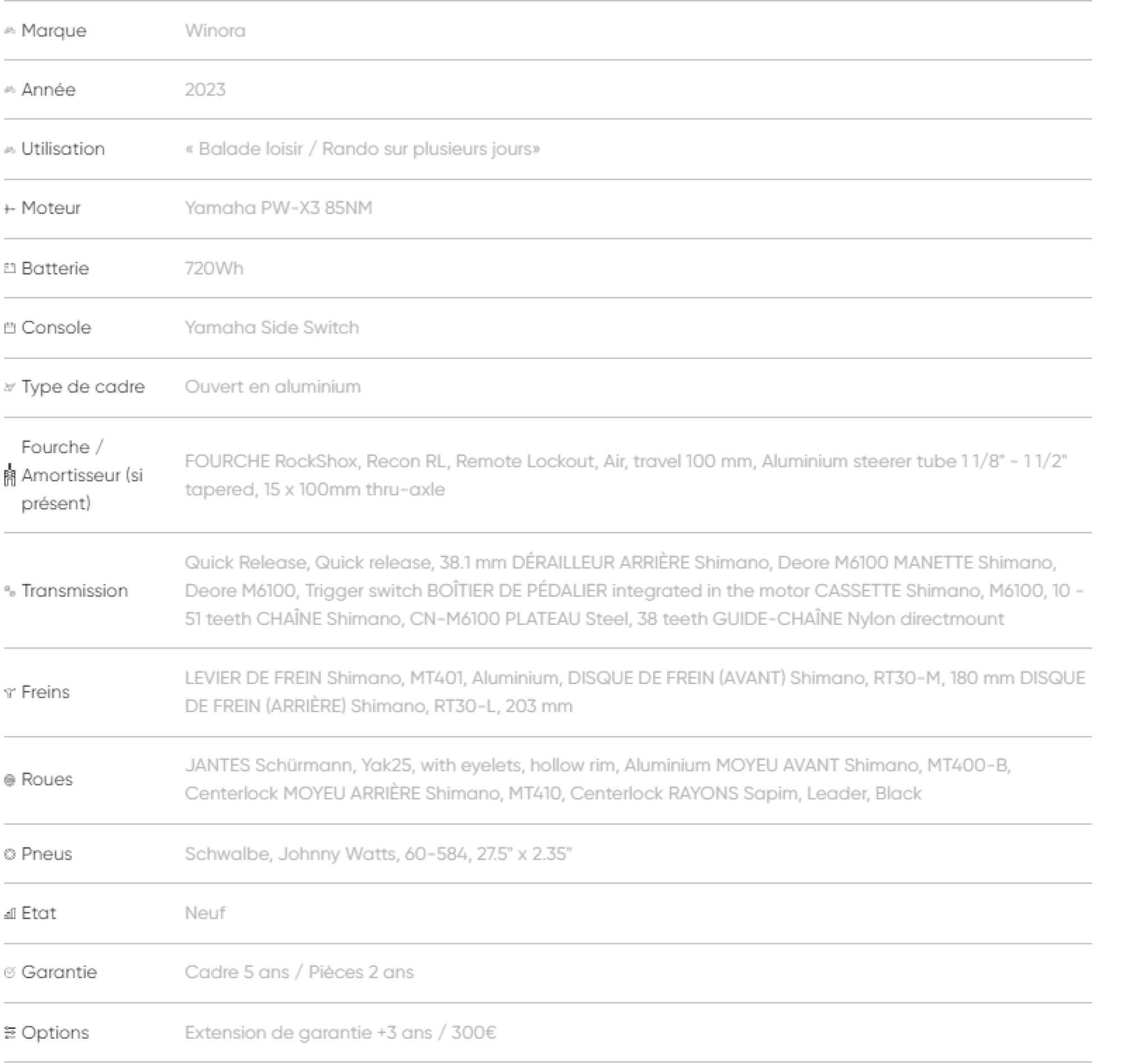Vtc électrique winora yucatan x12 low