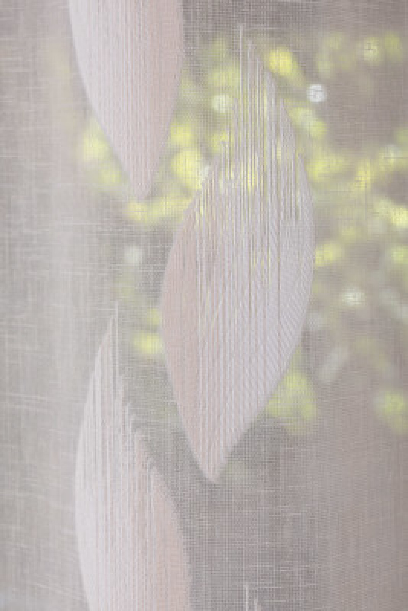 Rideau Voilage DENIS Naturel