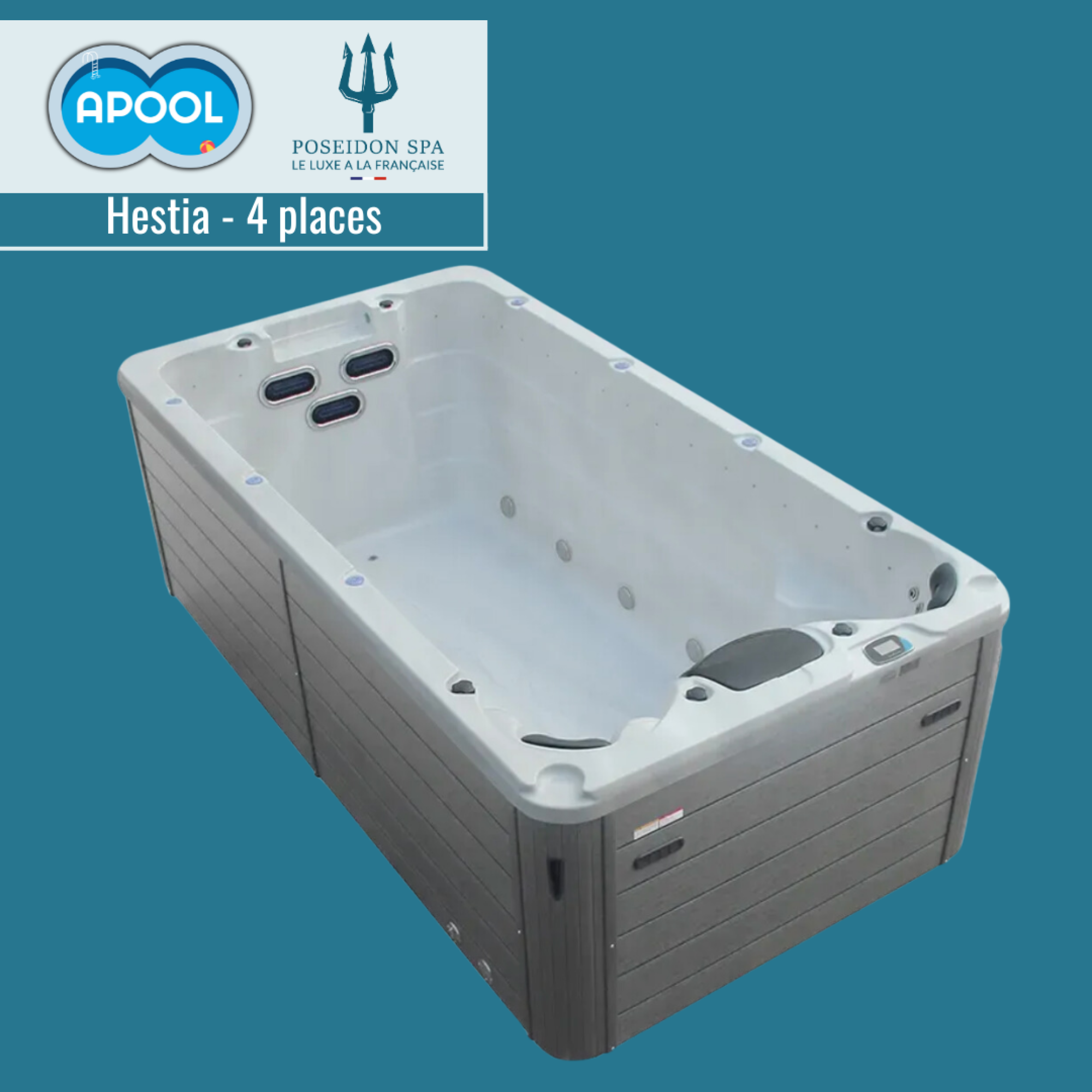 VENTE AUX ENCHÈRES  ->  Hestia - SPA DE NAGE