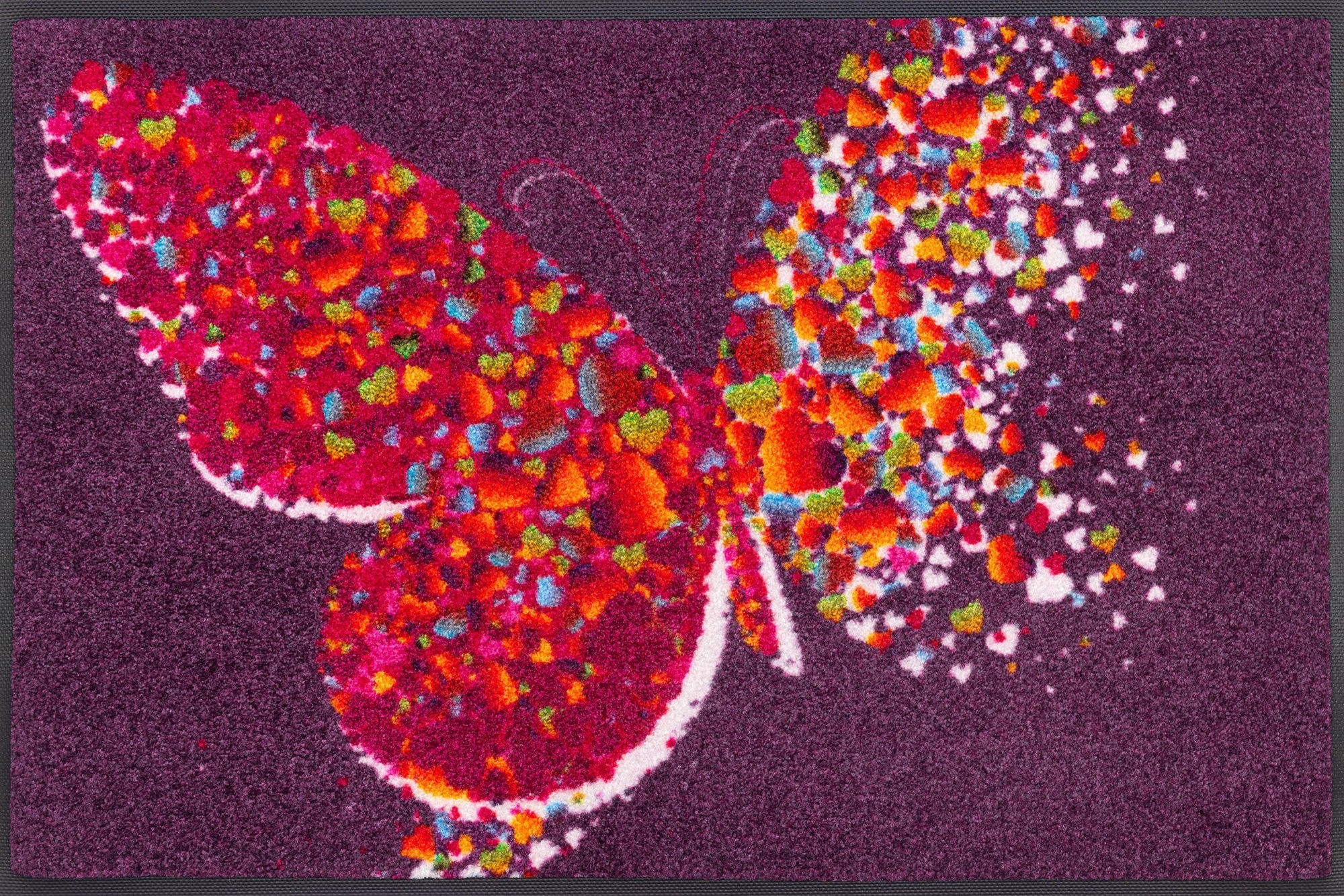 Tapis d’entrée Ultra Résistants